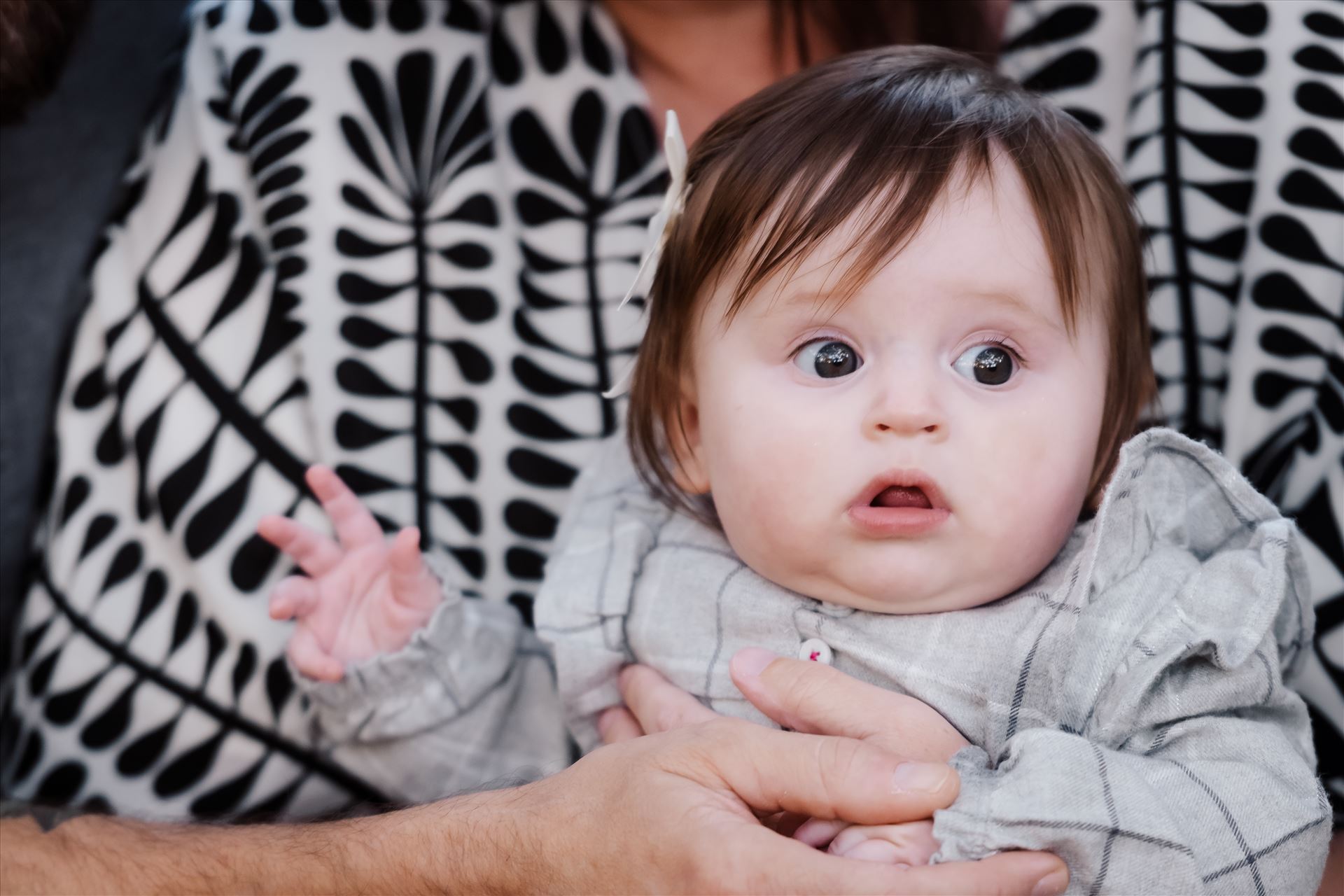 Final-0919.jpg  by Sarah Williams