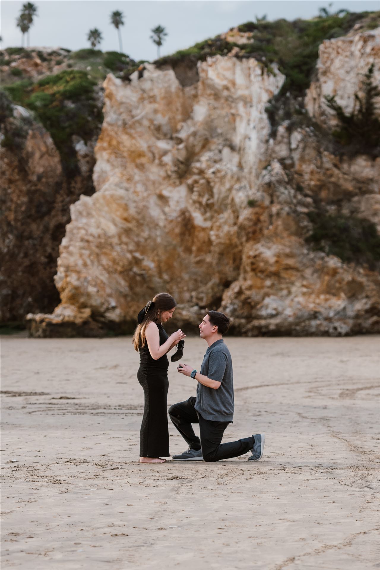 Final-3103.jpg  by Sarah Williams