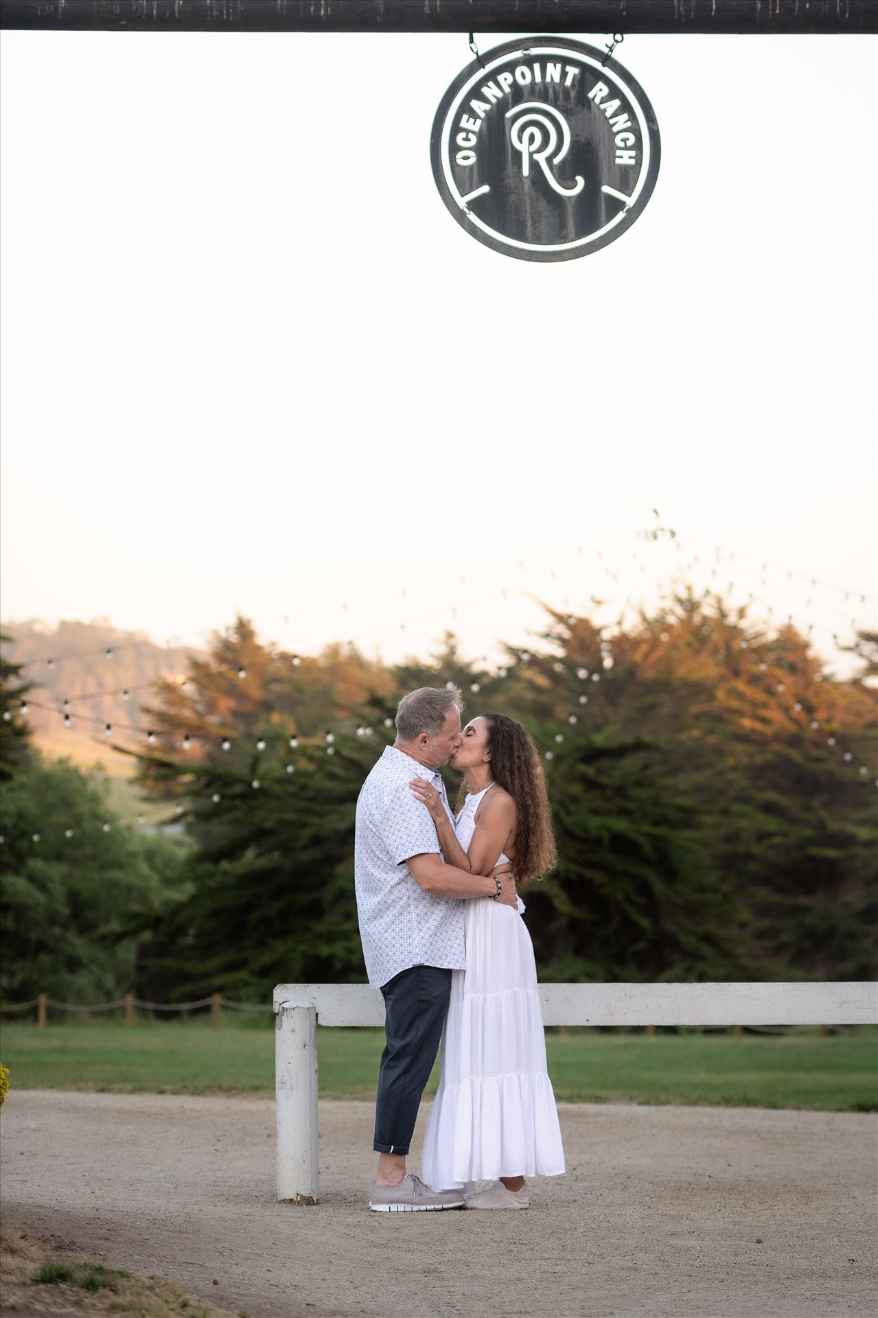 Final-.jpg  by Sarah Williams