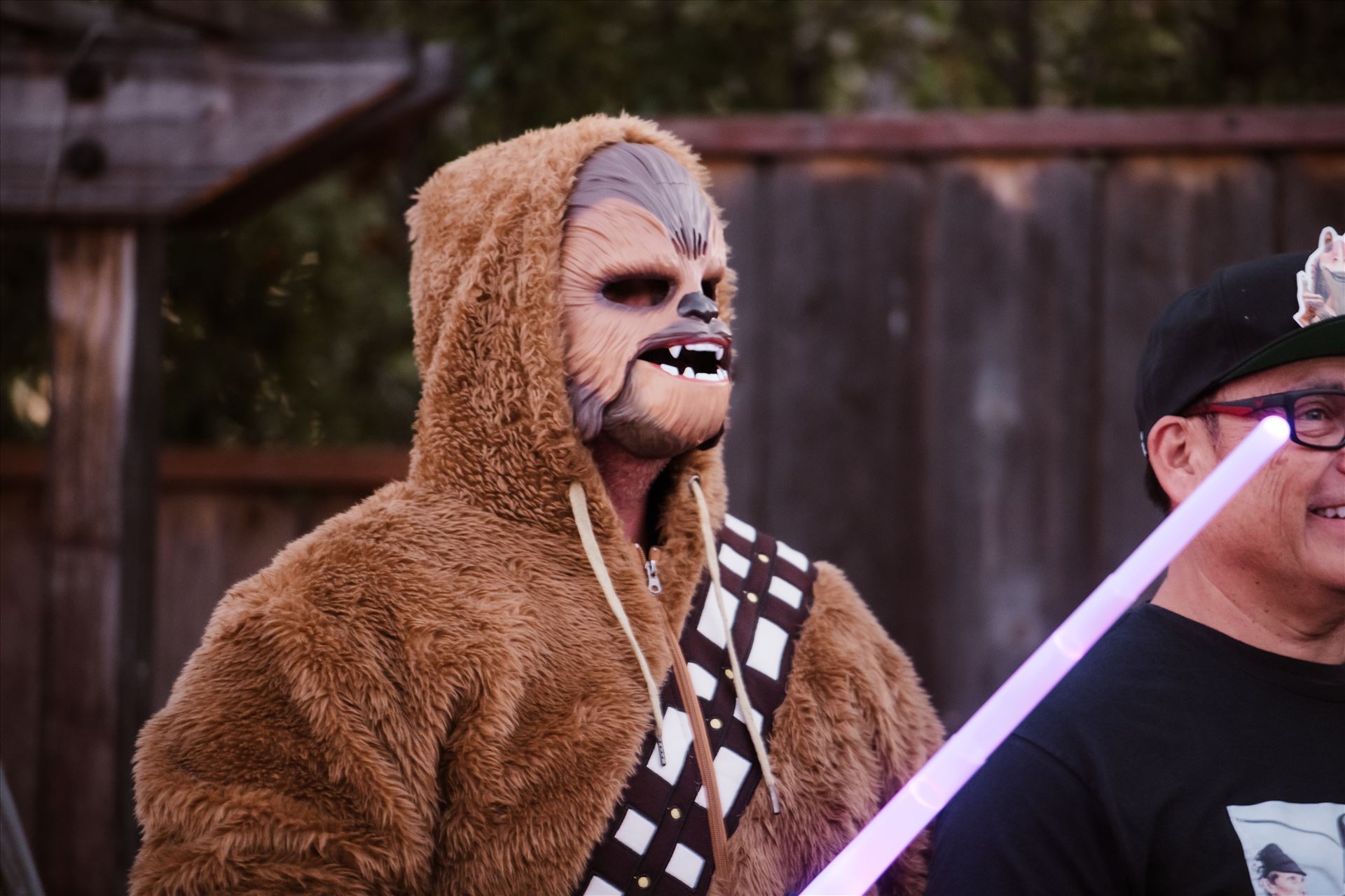 Final-8557.jpg  by Sarah Williams