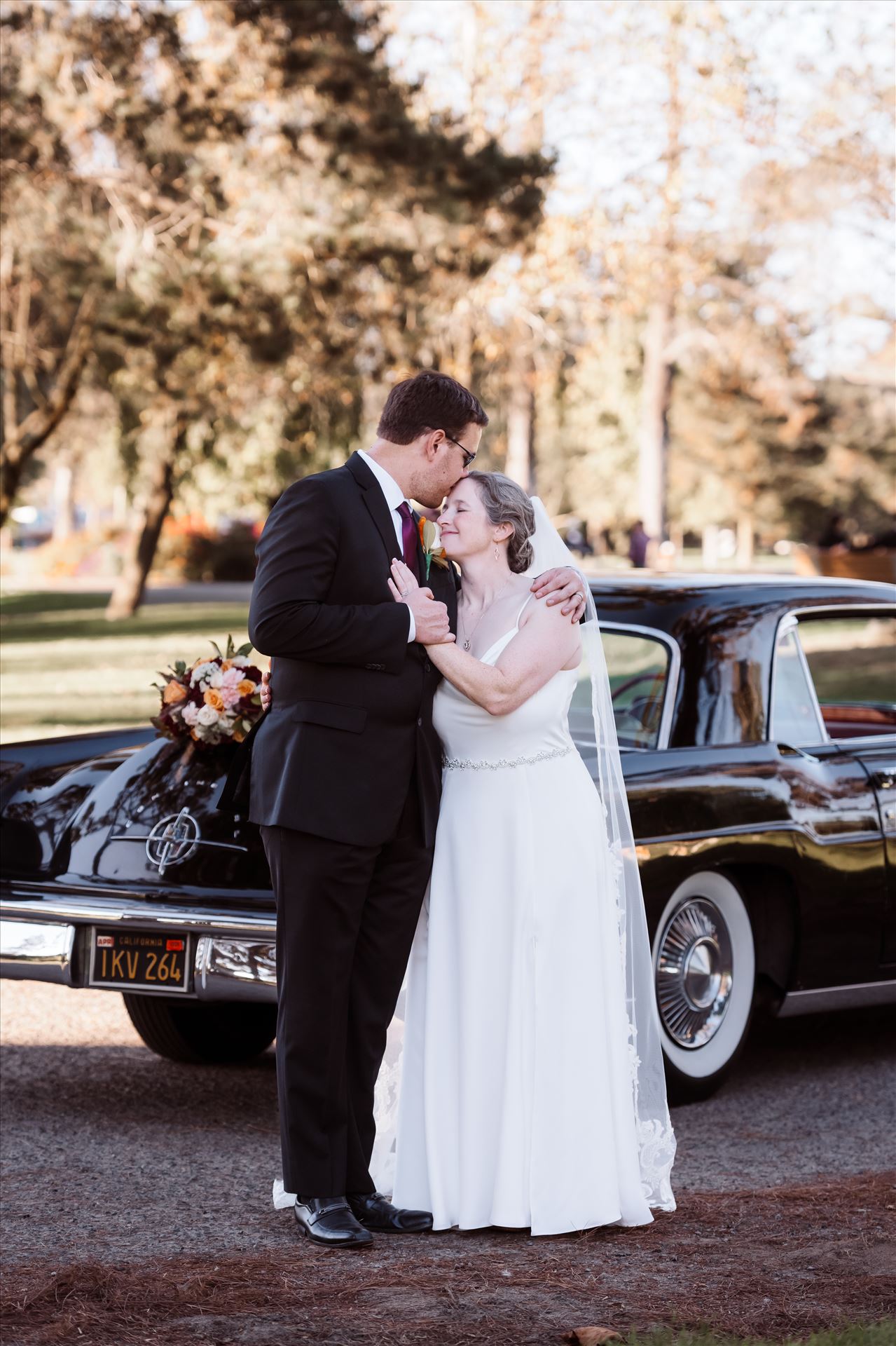 BG Final--4.jpg  by Sarah Williams