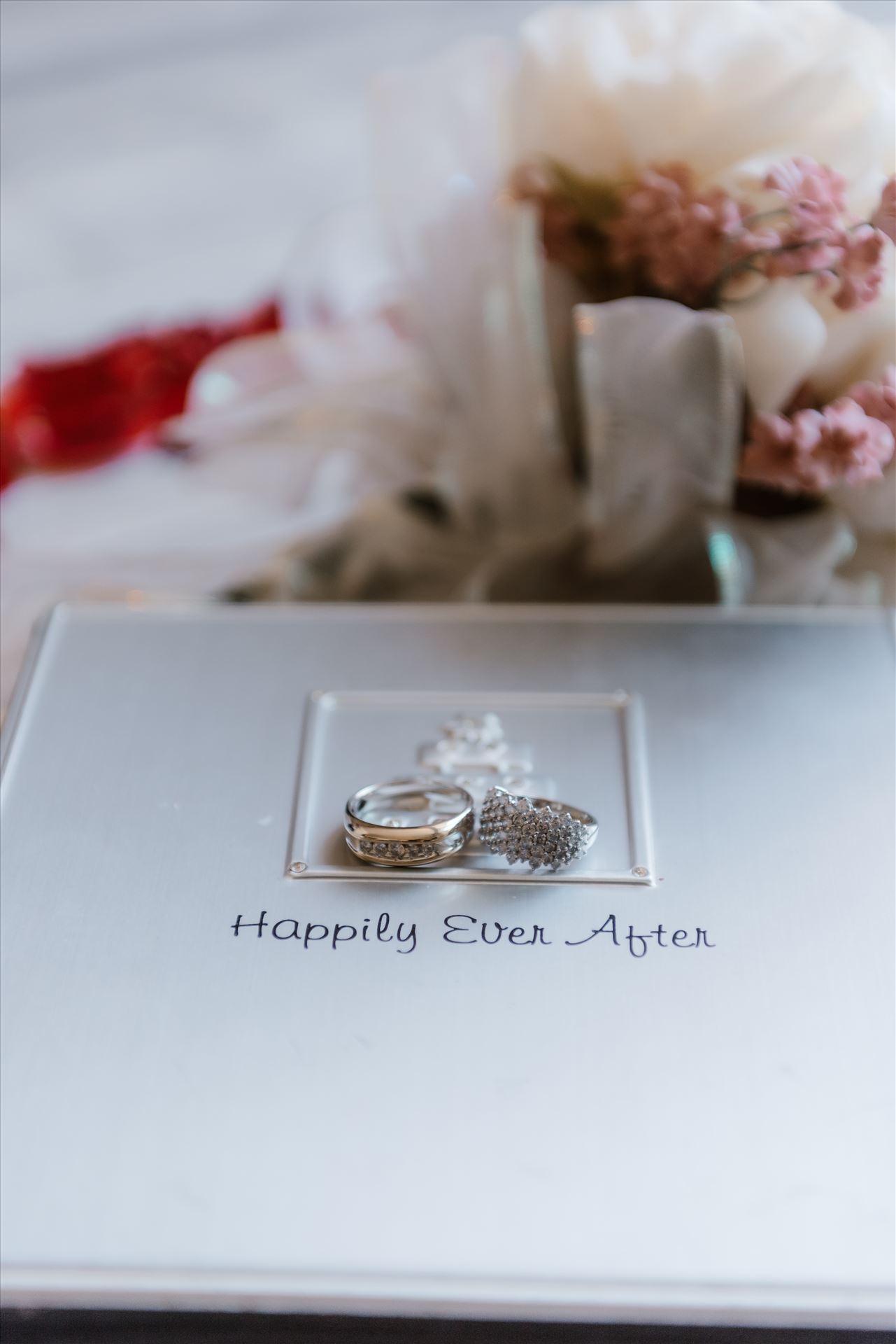 Final-0567.jpg  by Sarah Williams