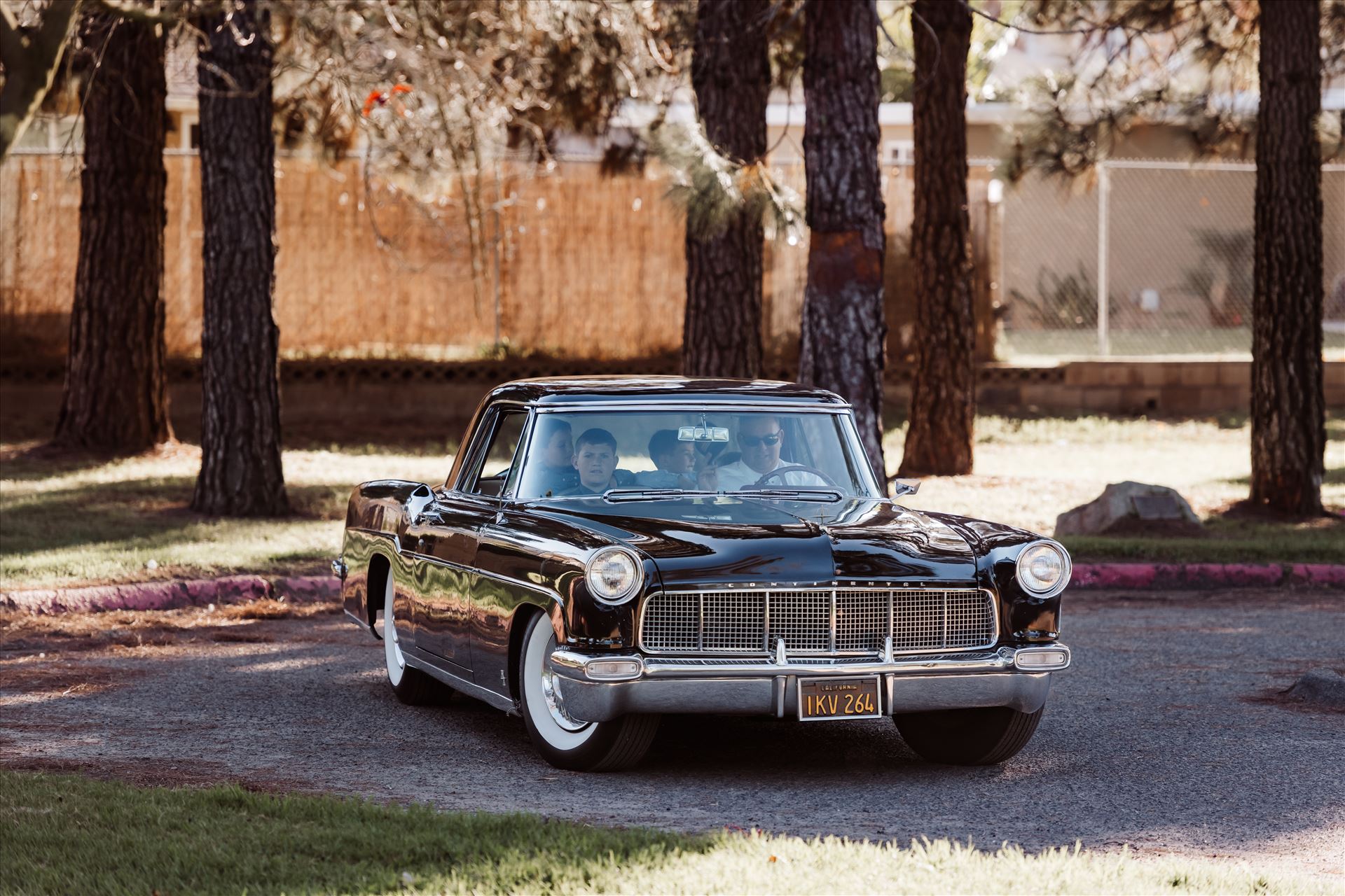 Final-1663.jpg  by Sarah Williams