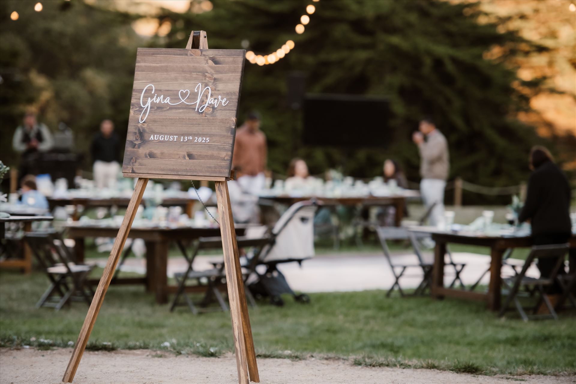 Final-5531.jpg  by Sarah Williams