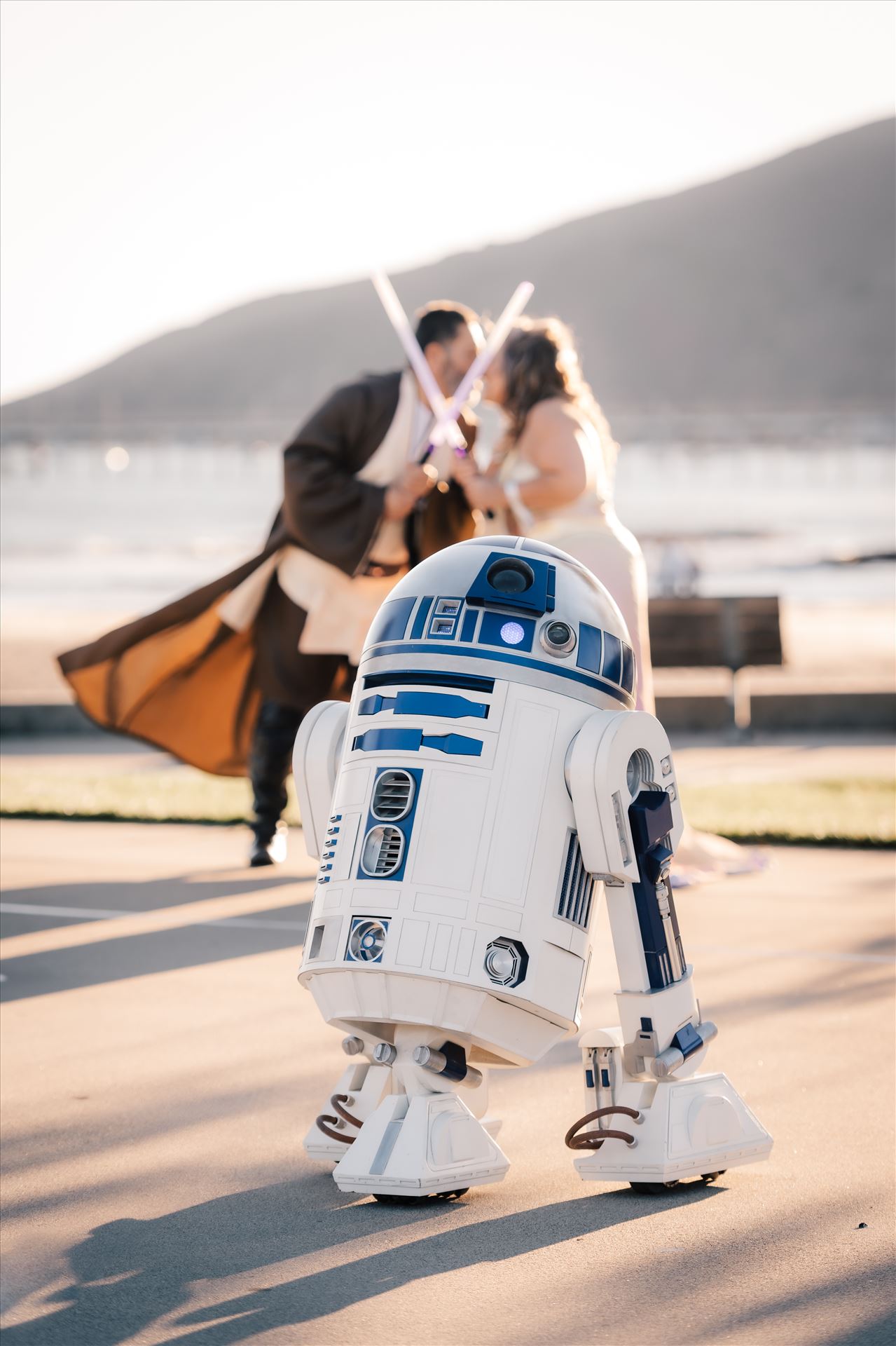 Final-8408.jpg  by Sarah Williams