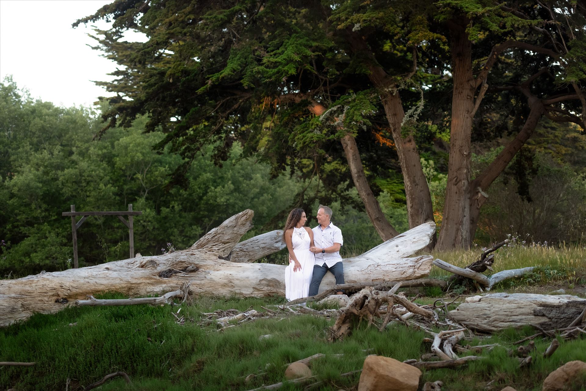 Final--6.jpg  by Sarah Williams