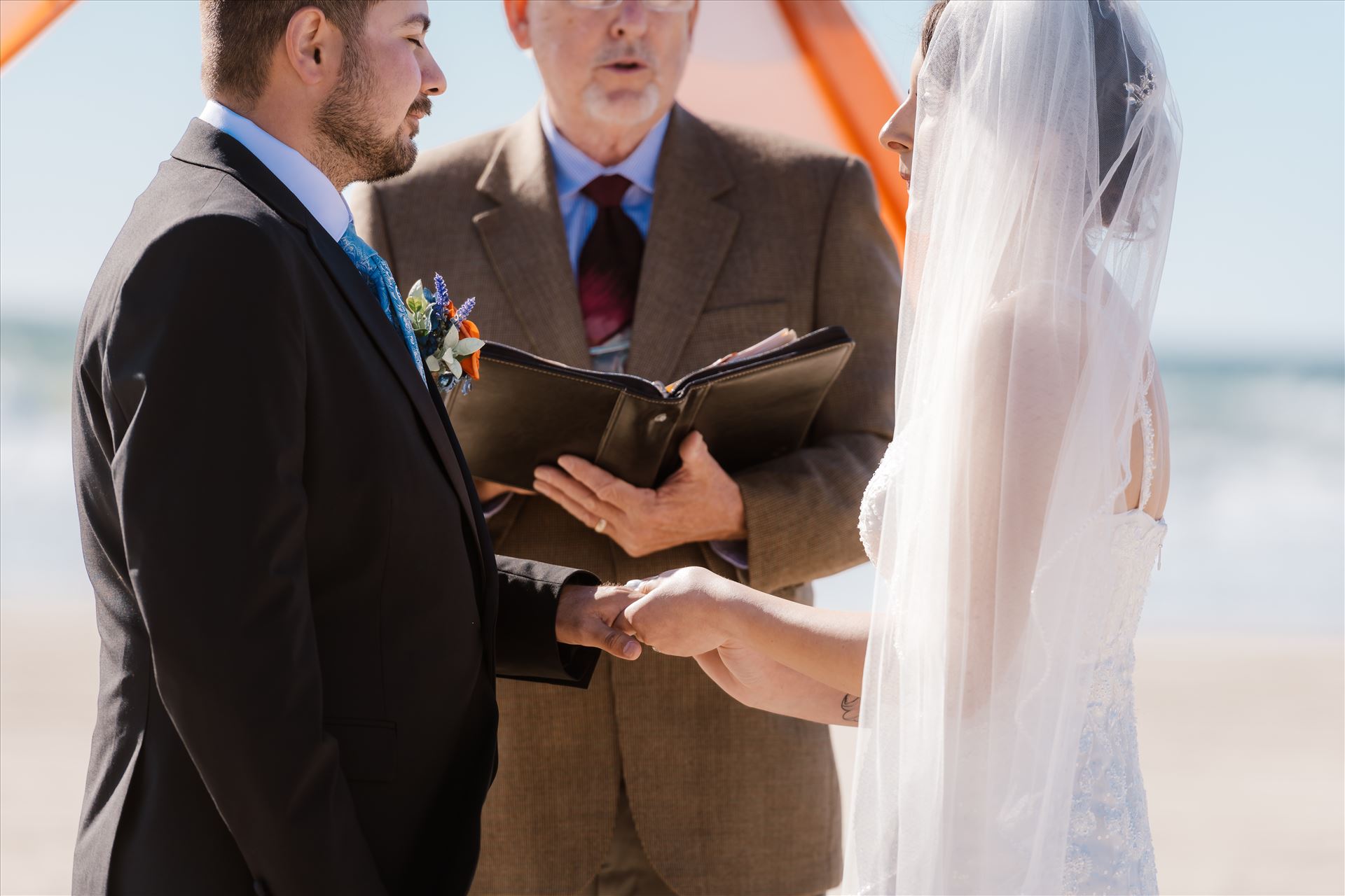 Final-4308.jpg  by Sarah Williams