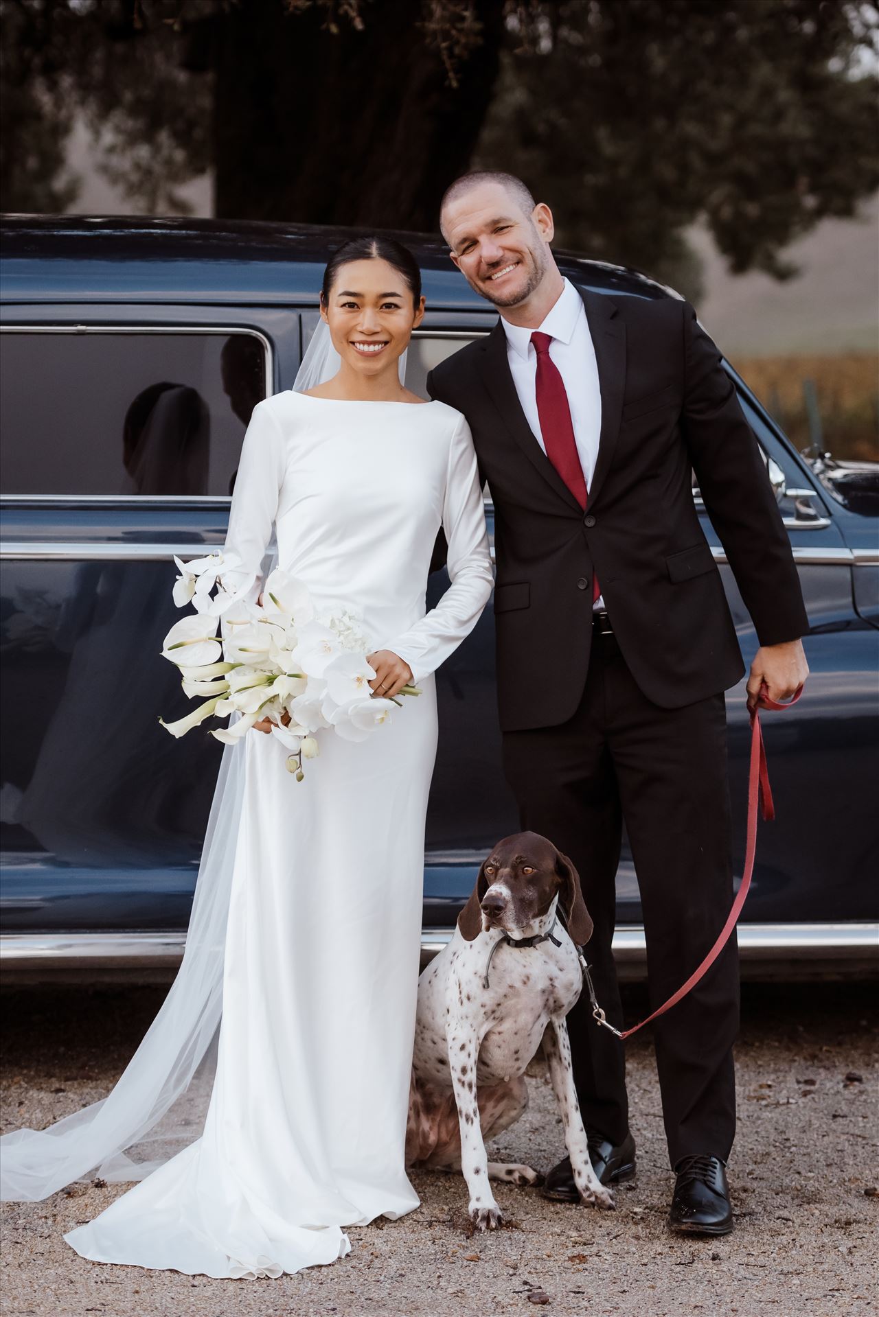 BG Final-2522.jpg  by Sarah Williams