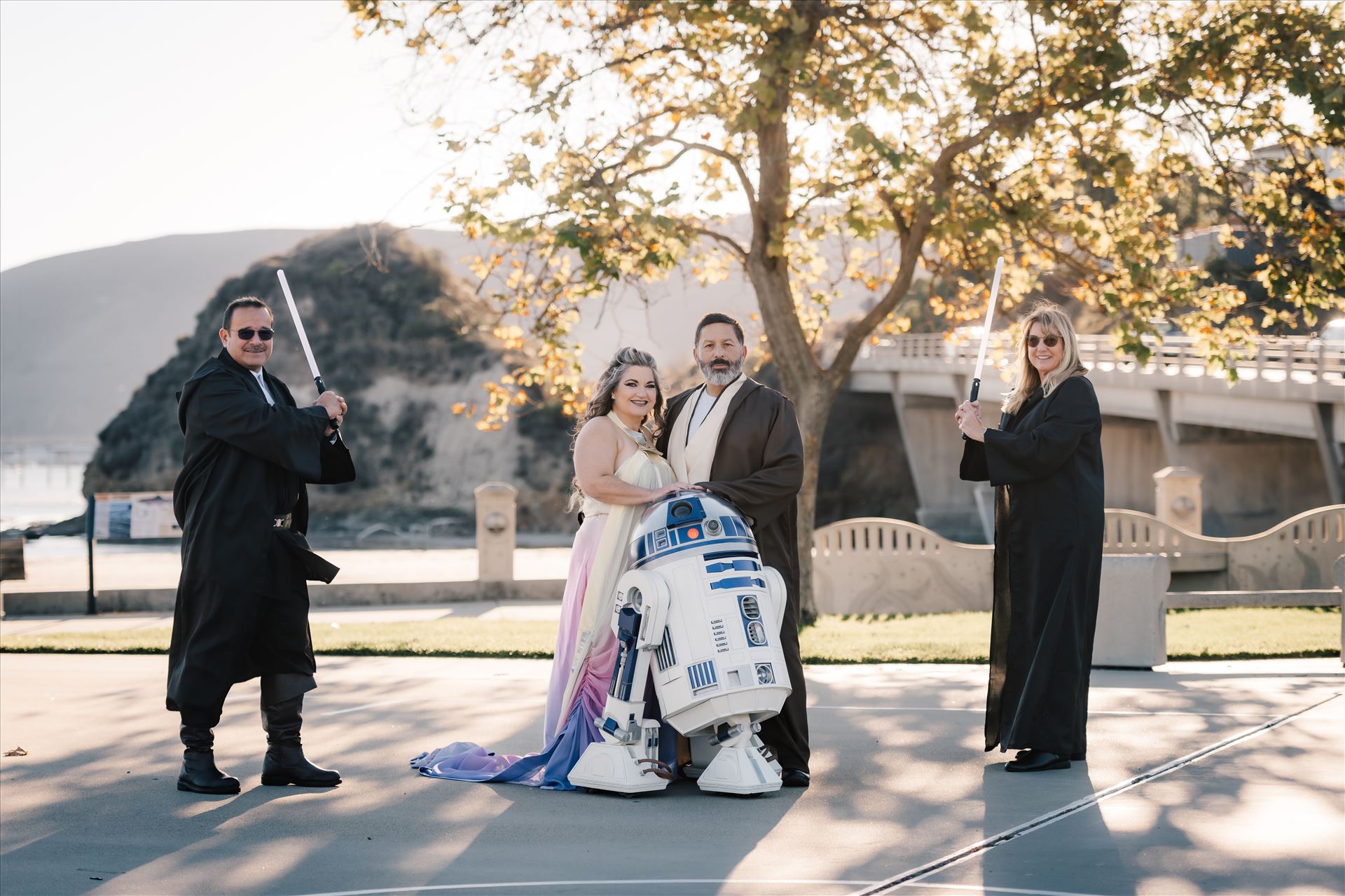 Final-8279.jpg  by Sarah Williams