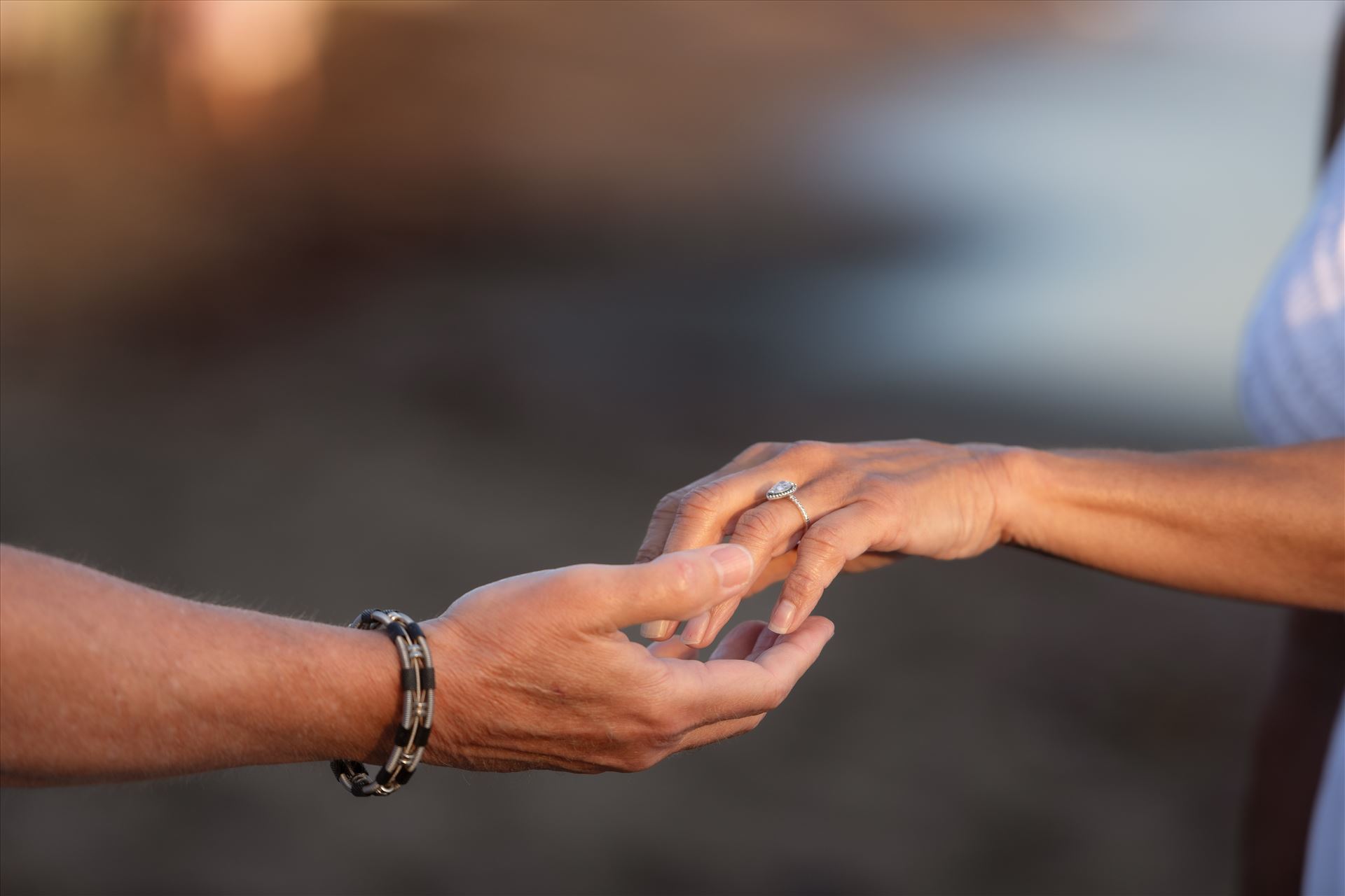 Final--14.jpg  by Sarah Williams