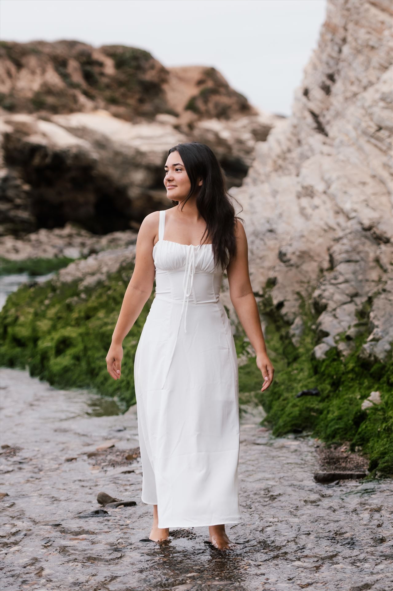 Final--20.jpg  by Sarah Williams