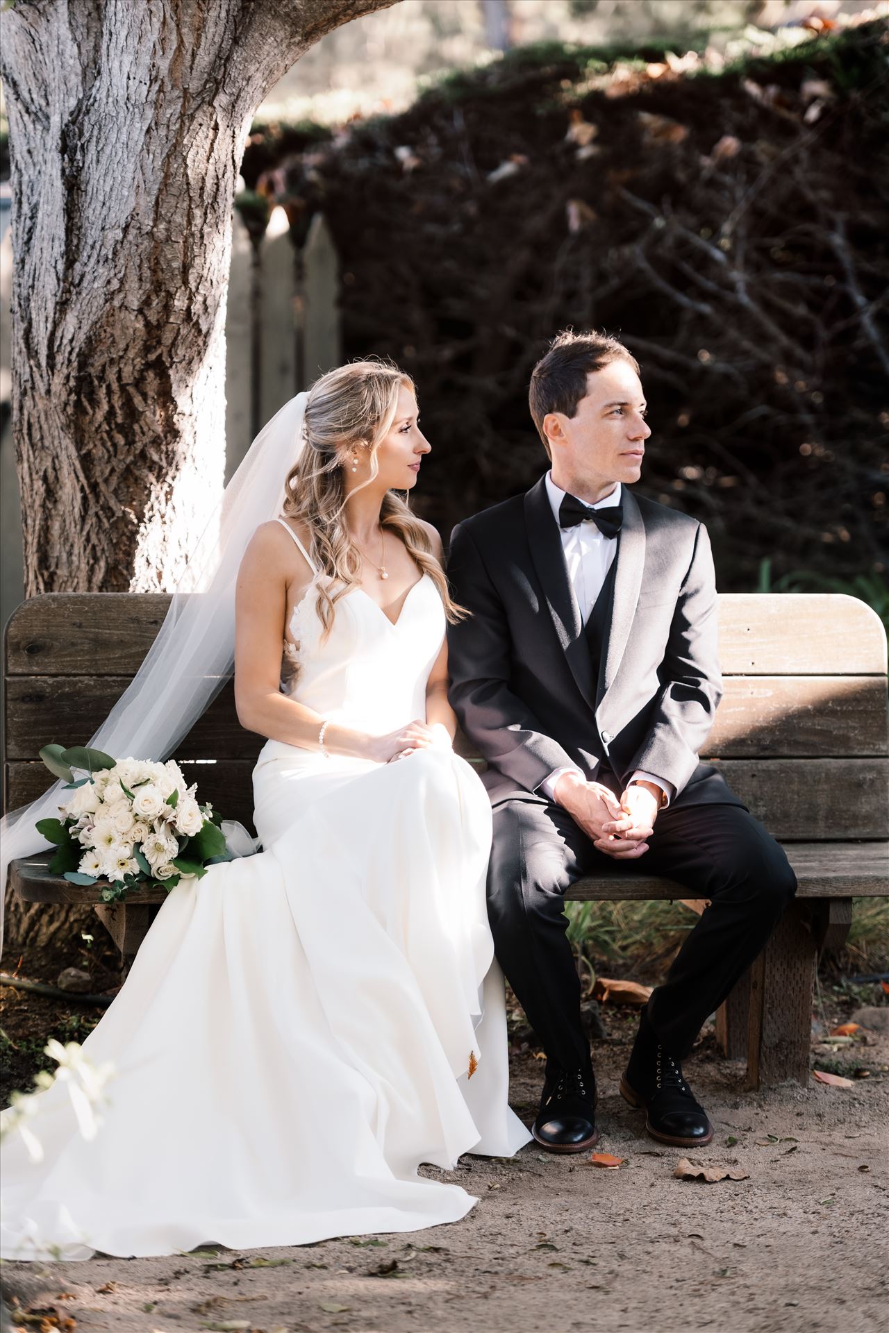 Final BG--12.jpg  by Sarah Williams