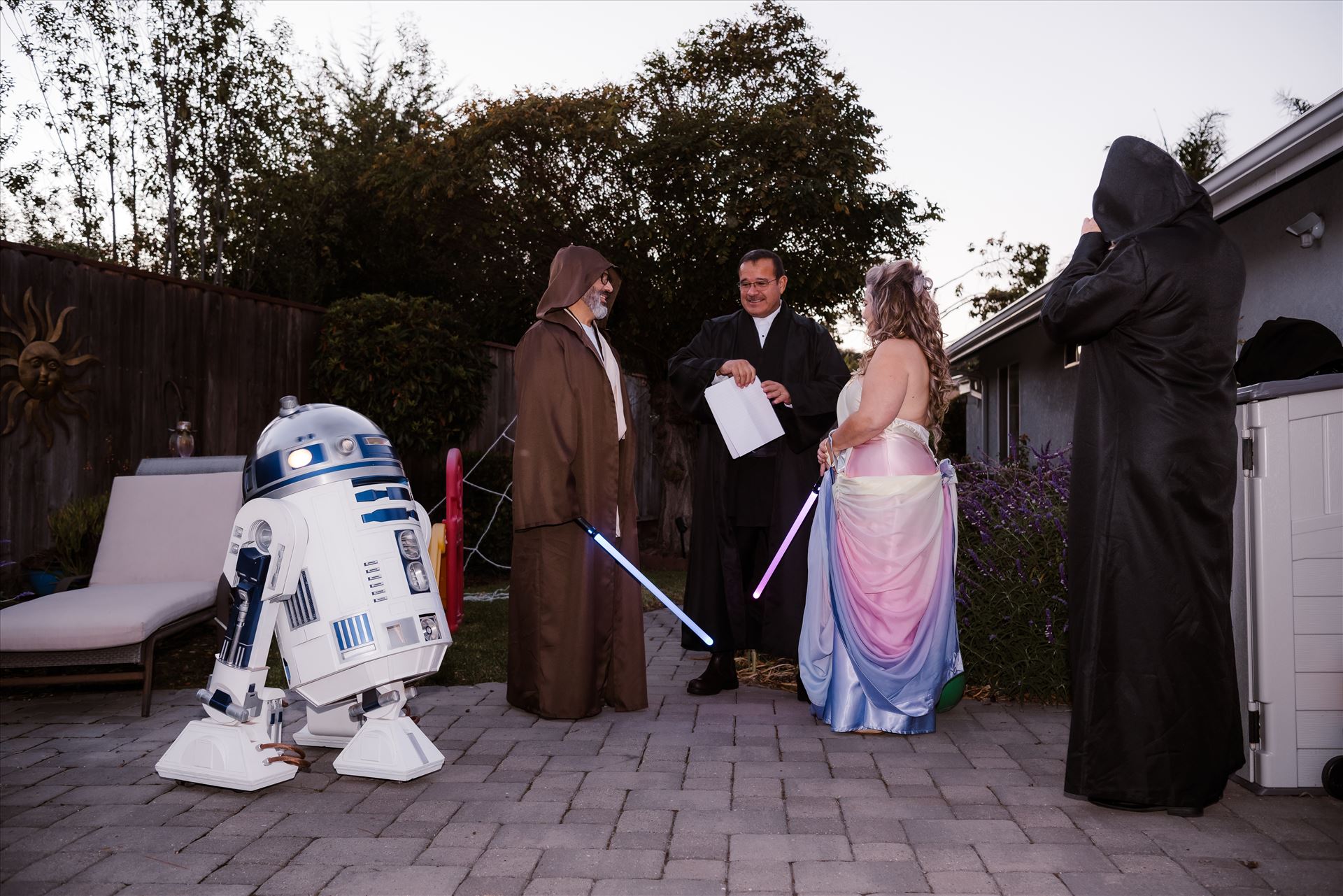 Final-7337.jpg  by Sarah Williams