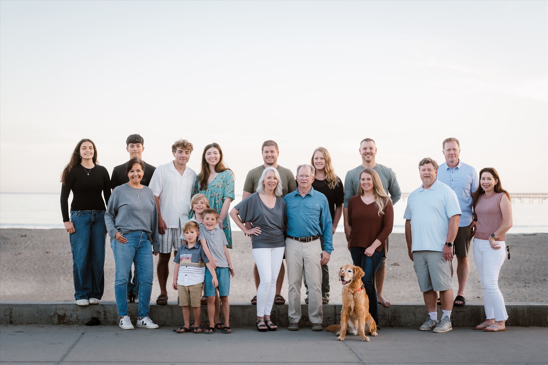 Final--4.jpg  by Sarah Williams