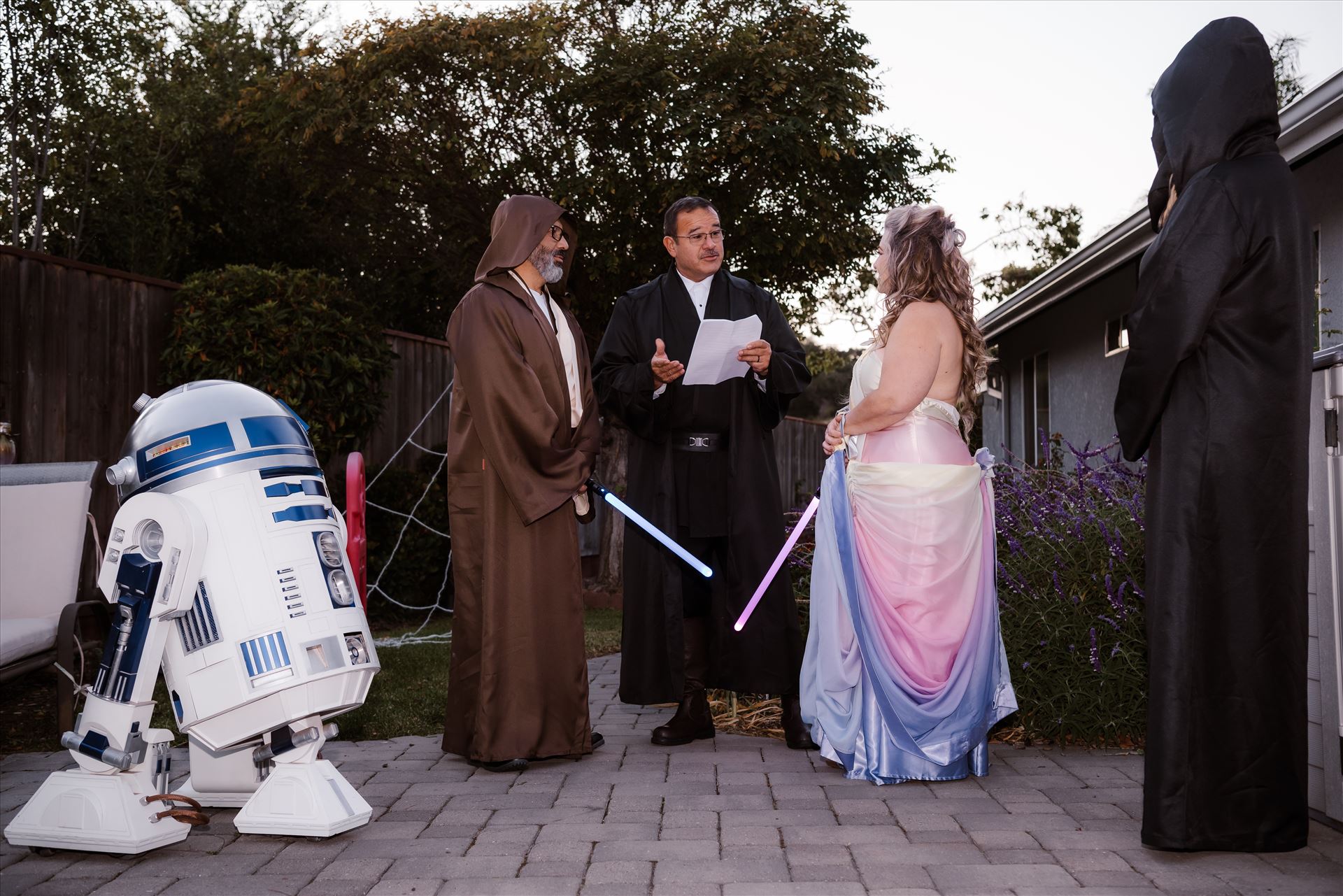 Final-7322.jpg  by Sarah Williams