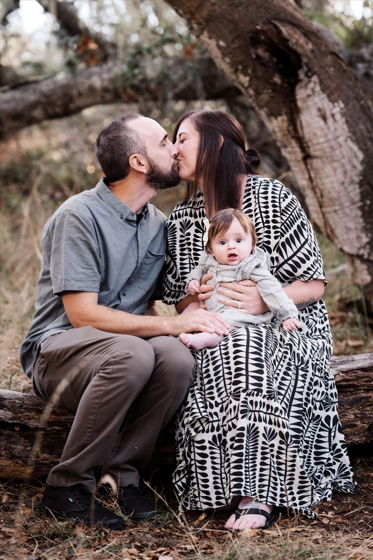 Final--6.jpg  by Sarah Williams