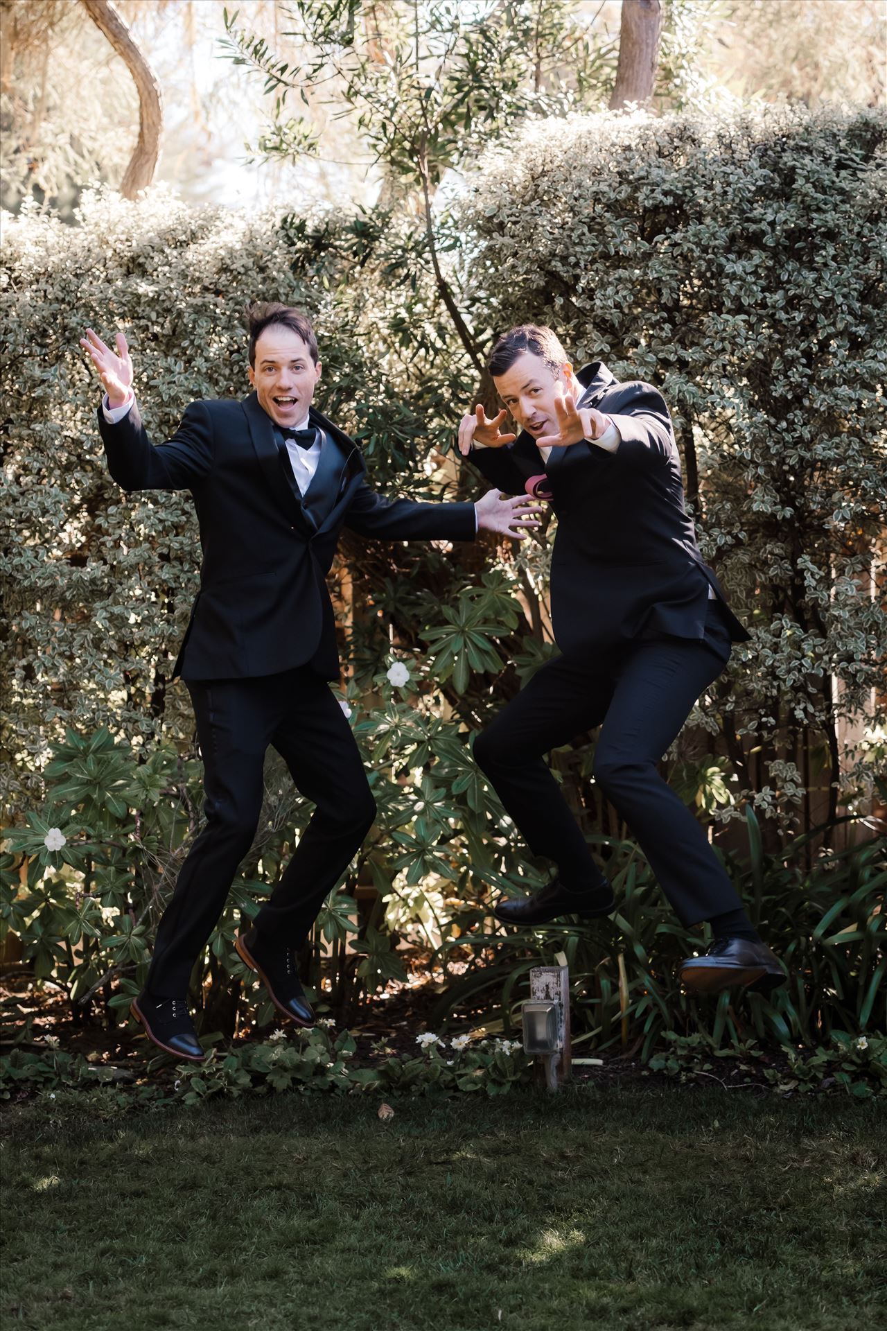 Final-9696.jpg  by Sarah Williams