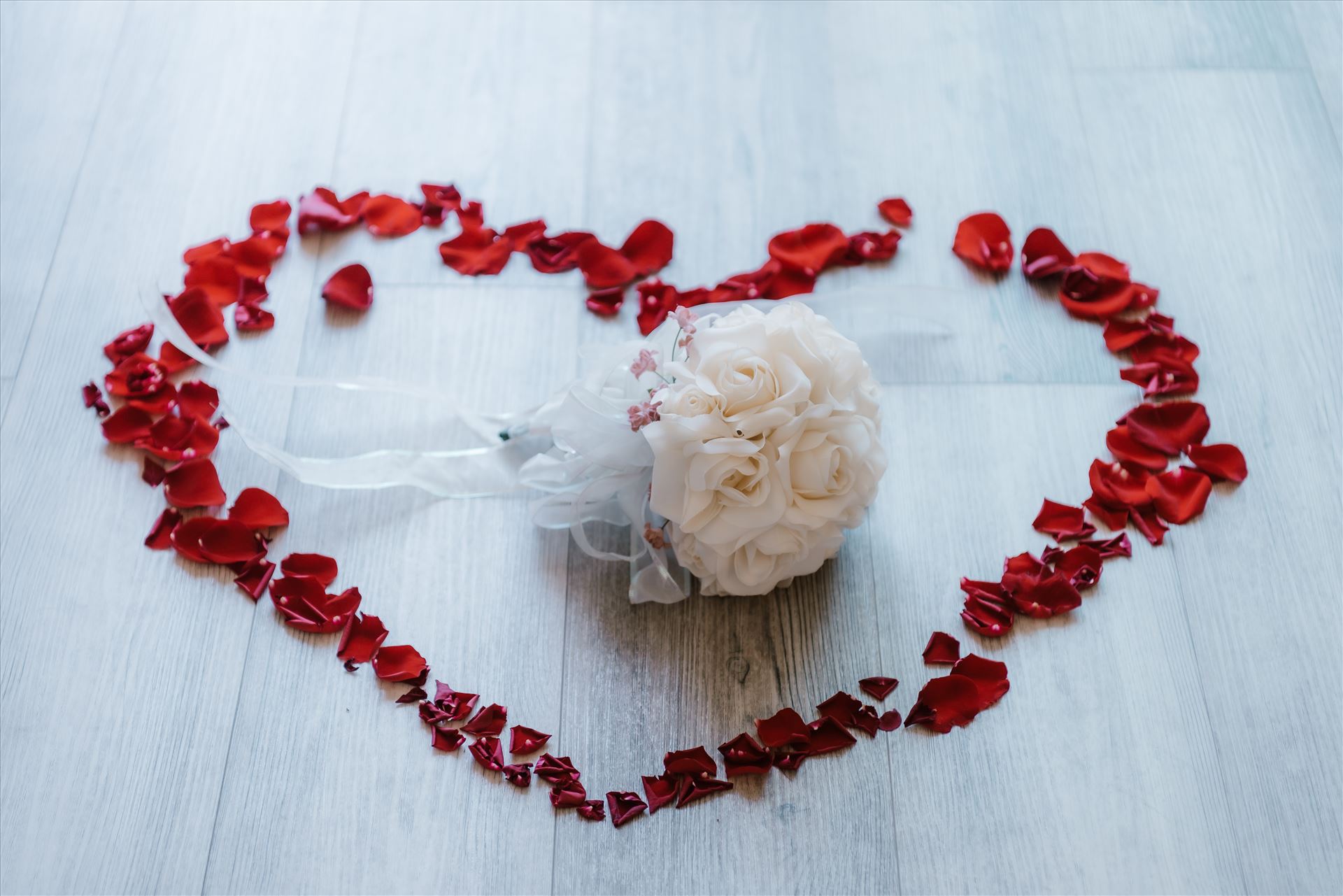 Final-0550.jpg  by Sarah Williams