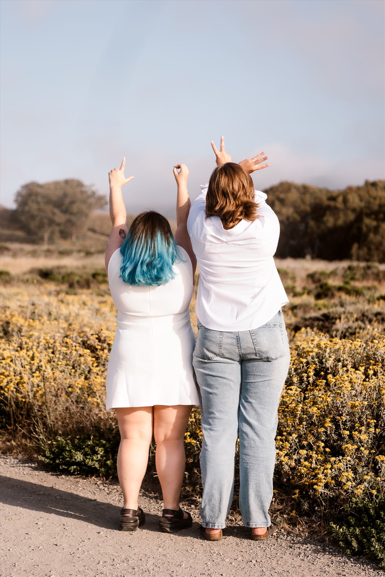 Final--9.jpg  by Sarah Williams