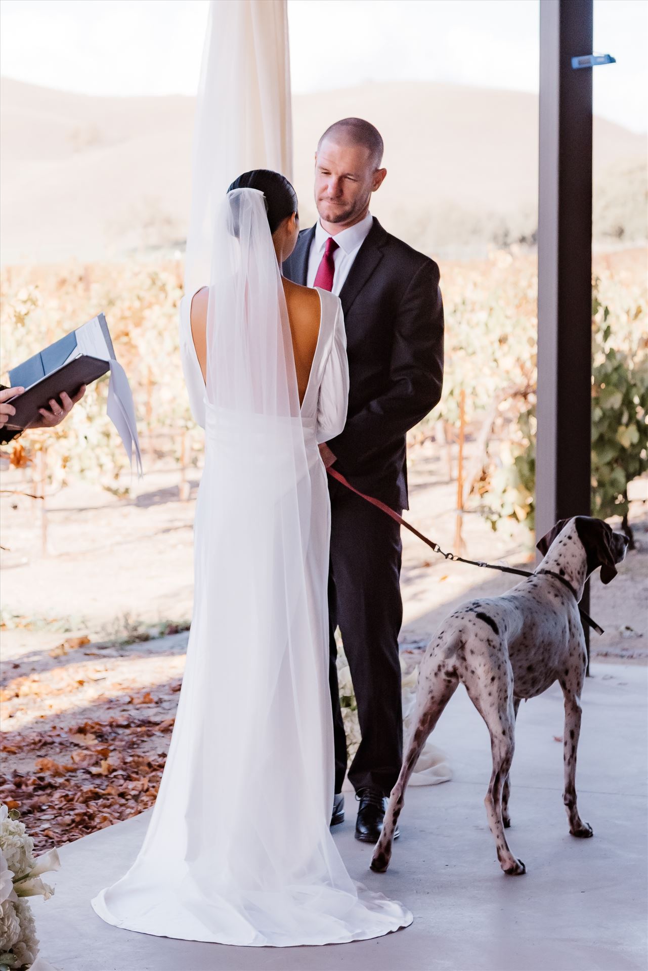 Final-9112.jpg  by Sarah Williams