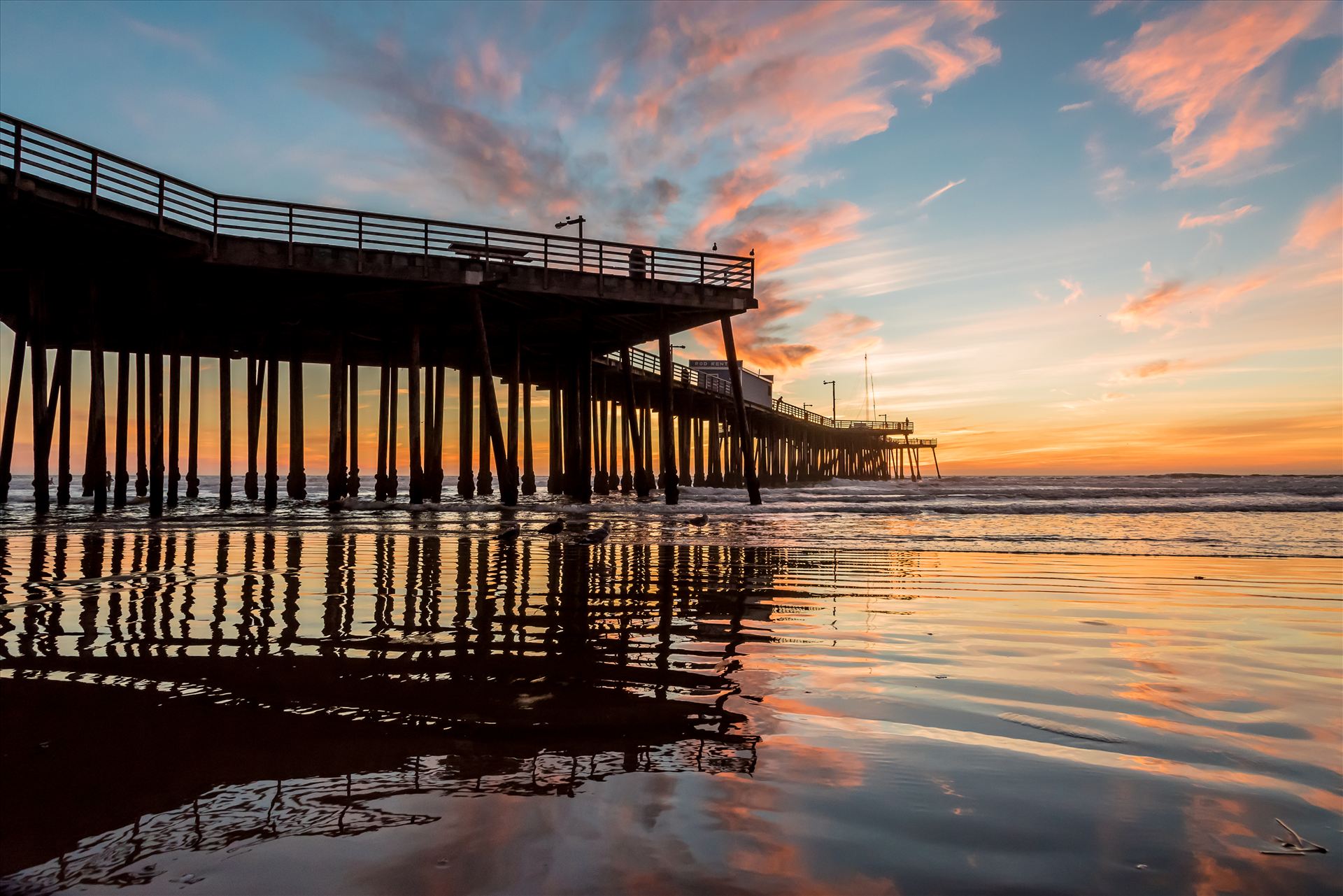 Fairytale Sunset Pismo Pier Reflection.jpg  by Sarah Williams