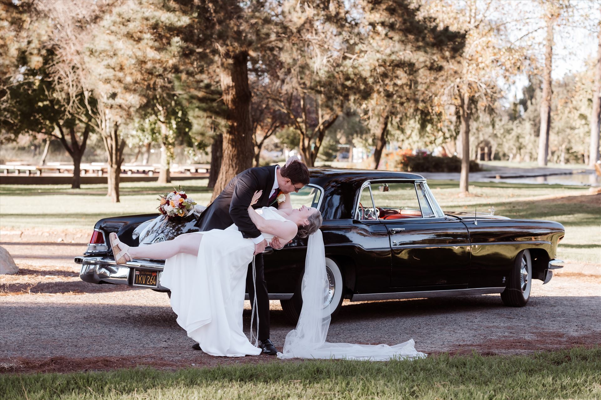 BG Final-1974.jpg  by Sarah Williams