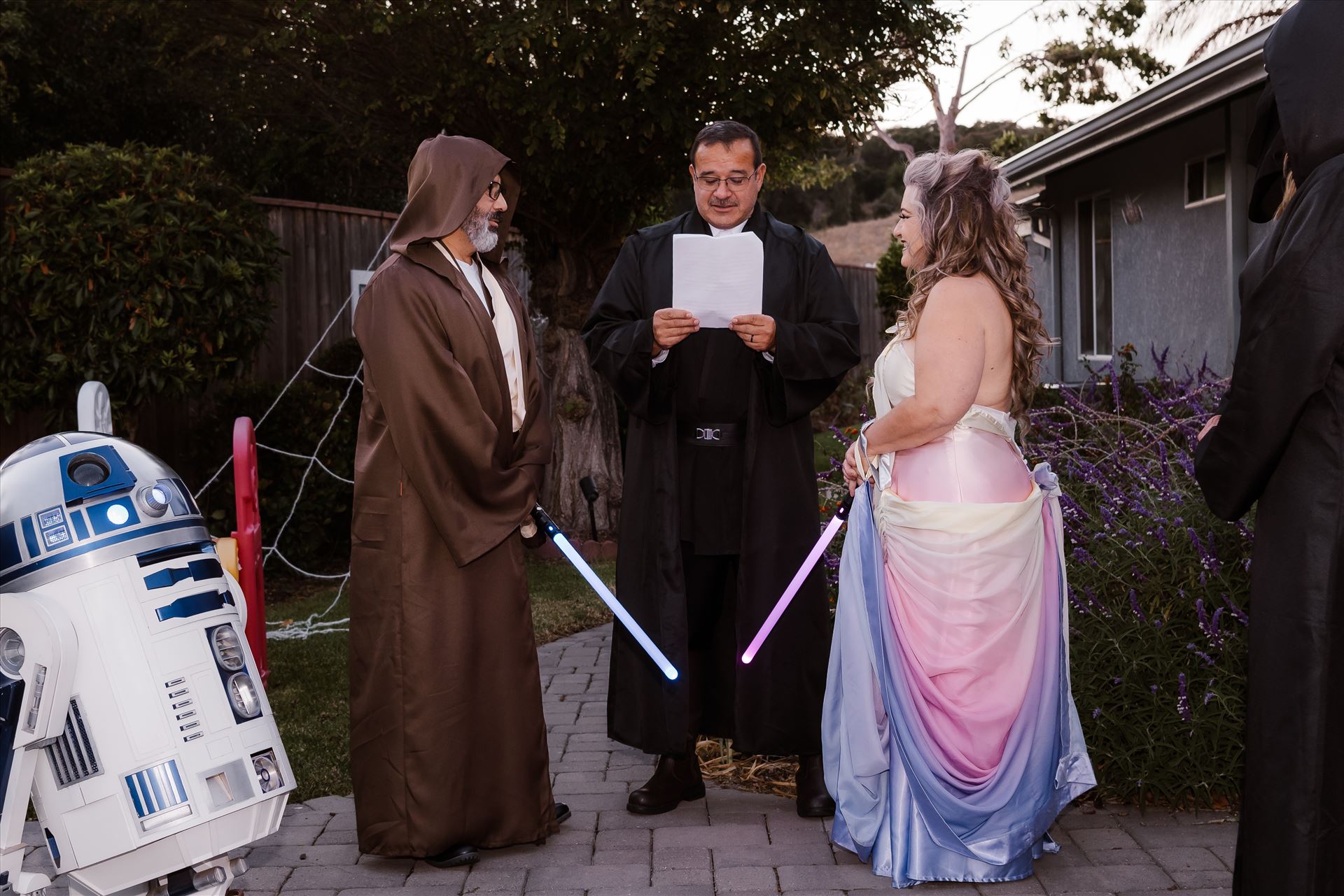 Final-7319.jpg  by Sarah Williams