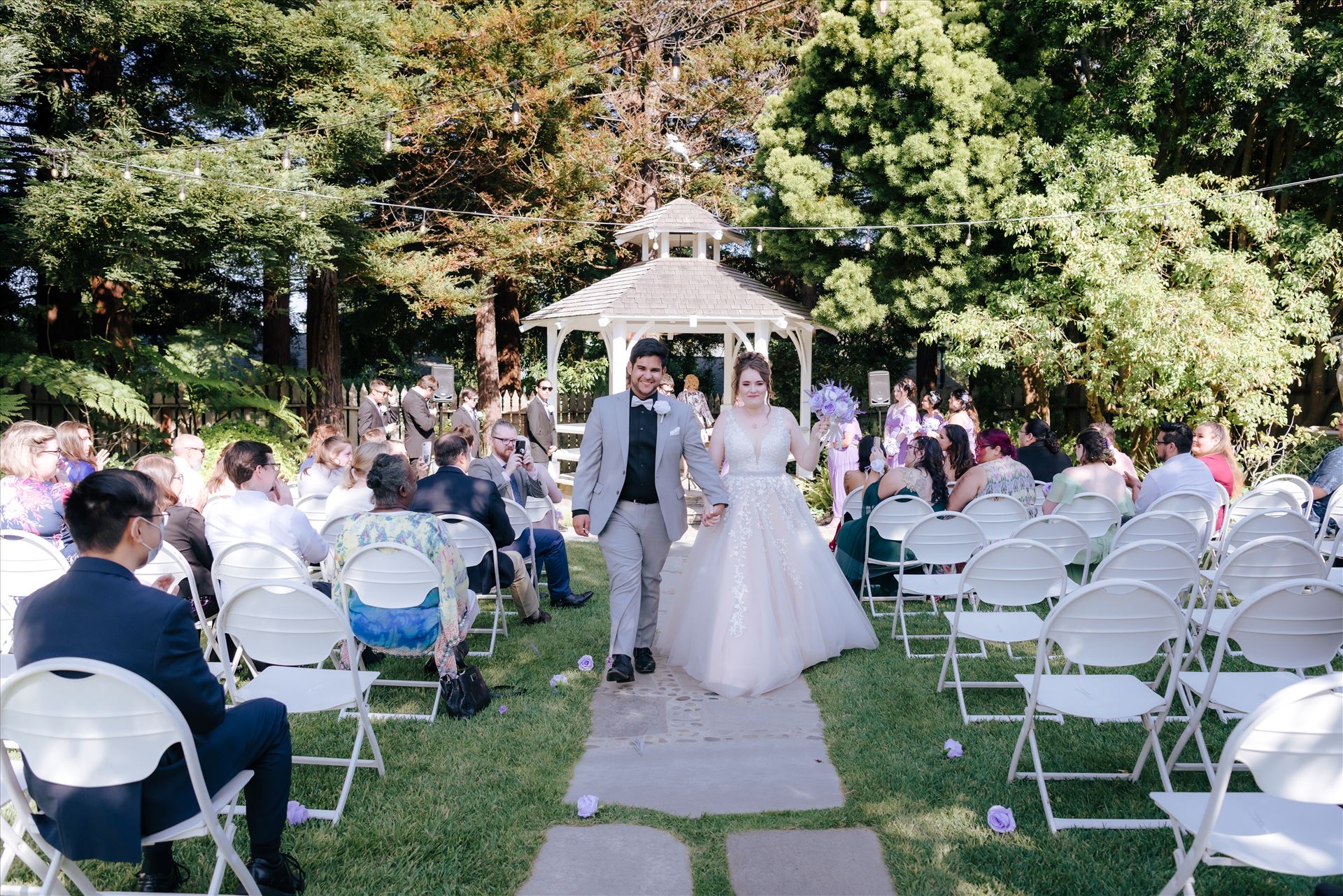 WF-0784.JPG  by Sarah Williams