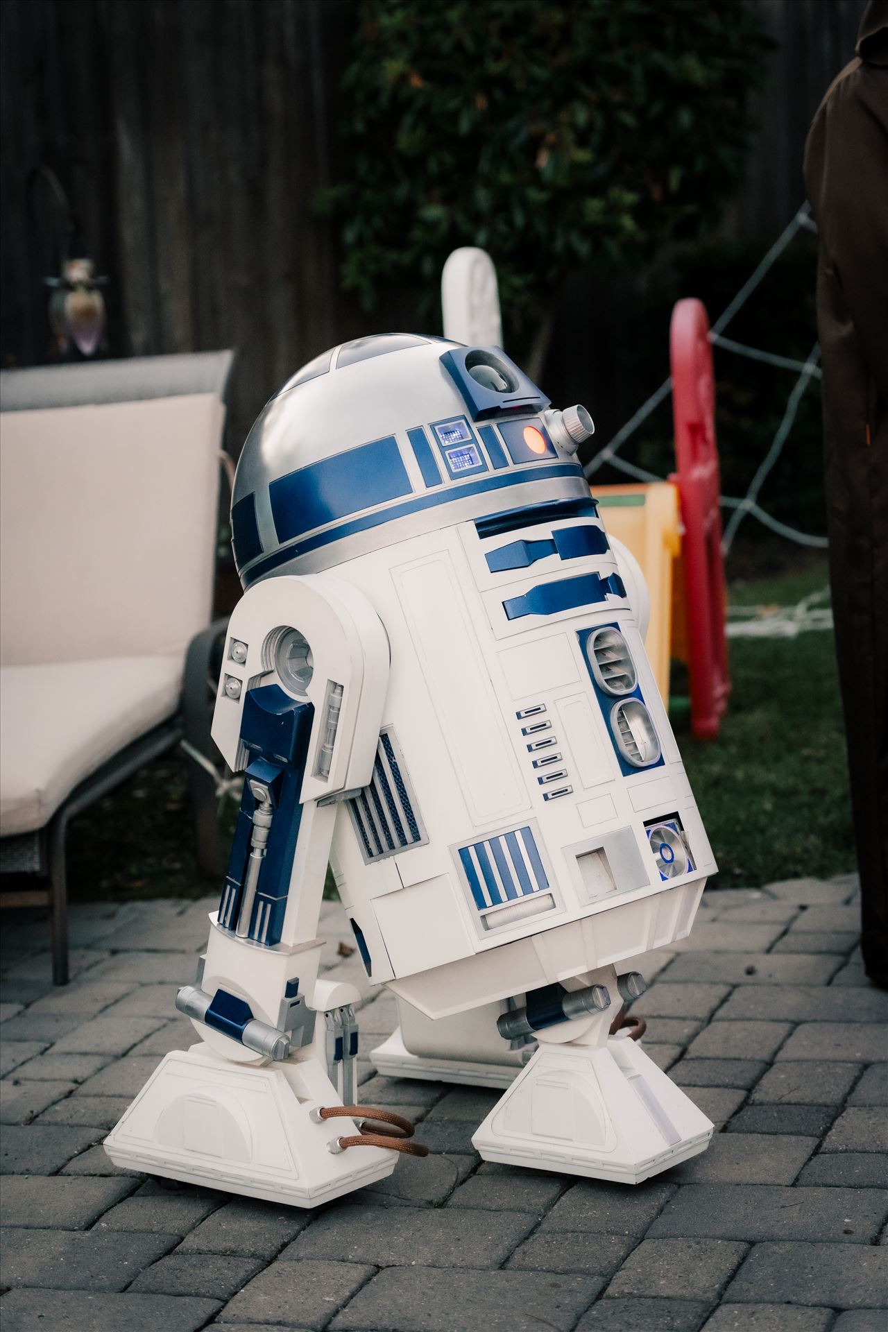 Final-8530.jpg  by Sarah Williams