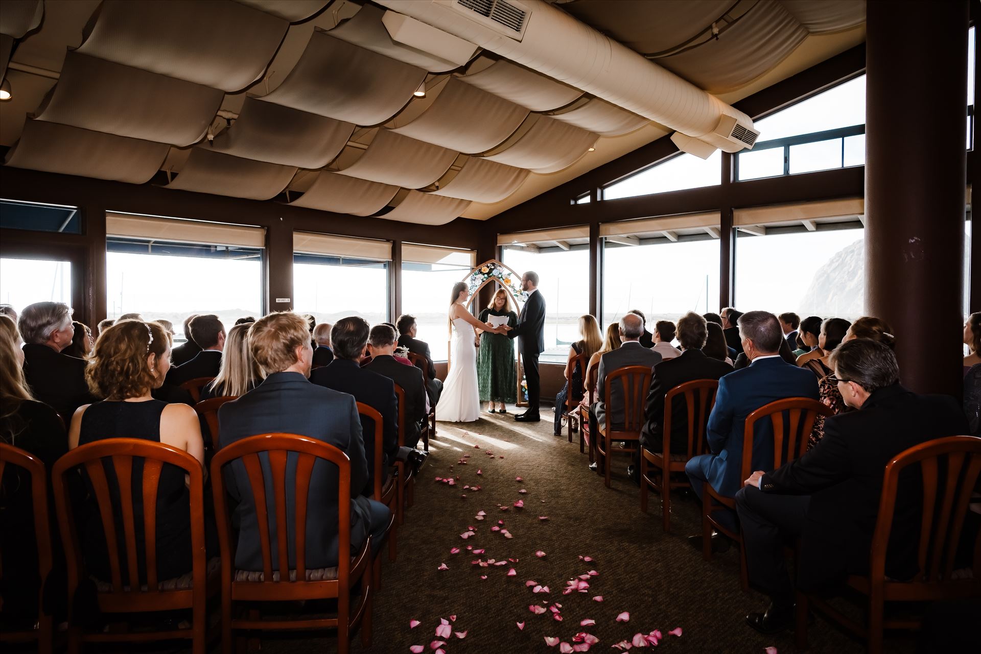 Final-7555.jpg  by Sarah Williams