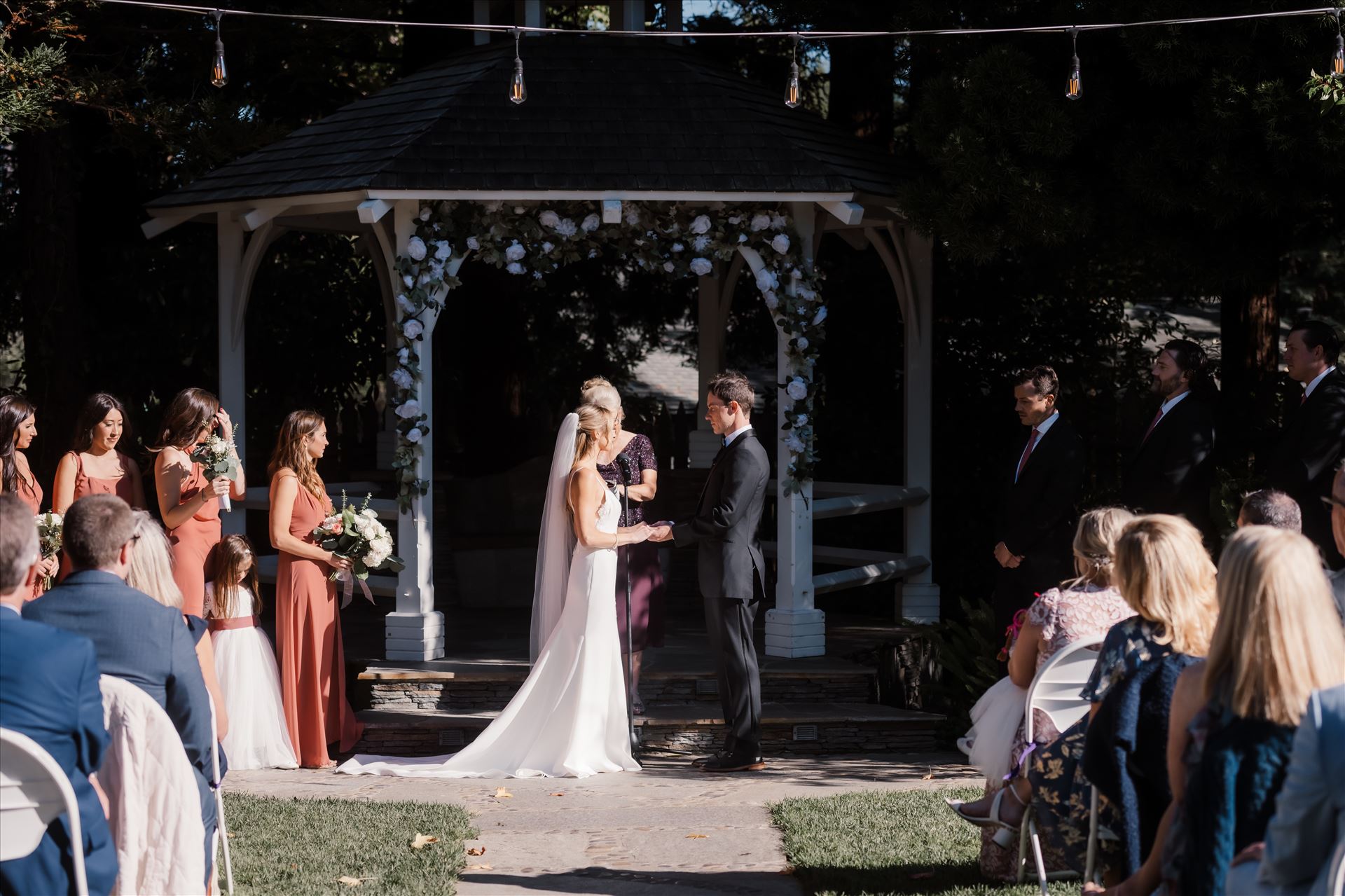 Final-0216.jpg  by Sarah Williams