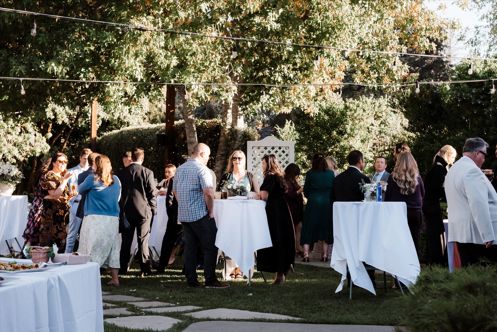 Final-8517.jpg  by Sarah Williams