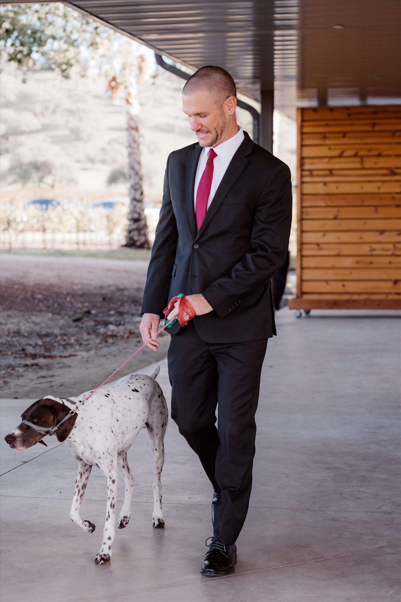 Final-2370.jpg  by Sarah Williams