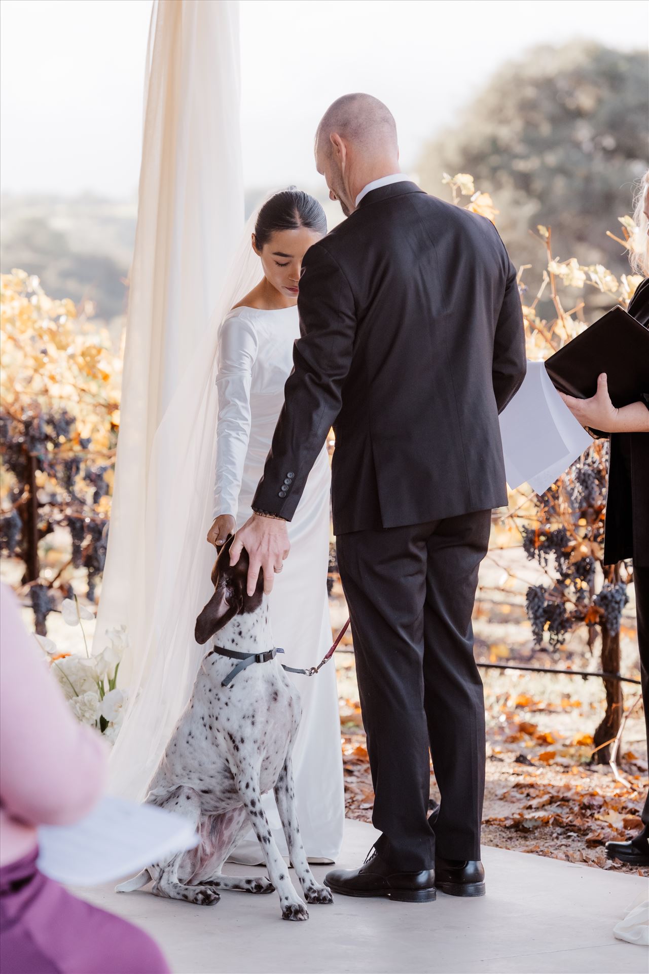 Final-2438.jpg  by Sarah Williams