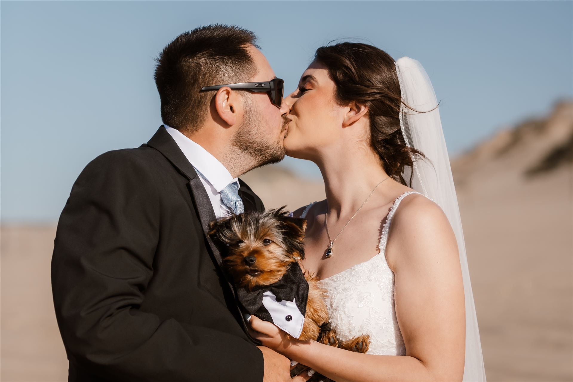 Final-4625.jpg  by Sarah Williams