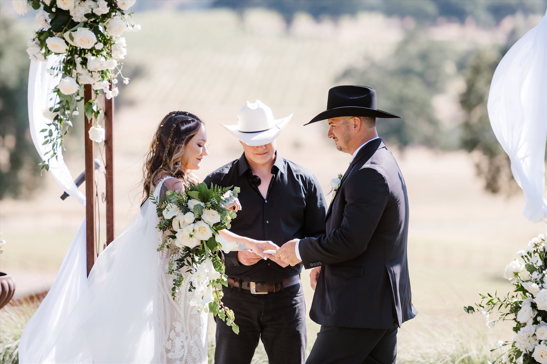 Final-9085.jpg  by Sarah Williams