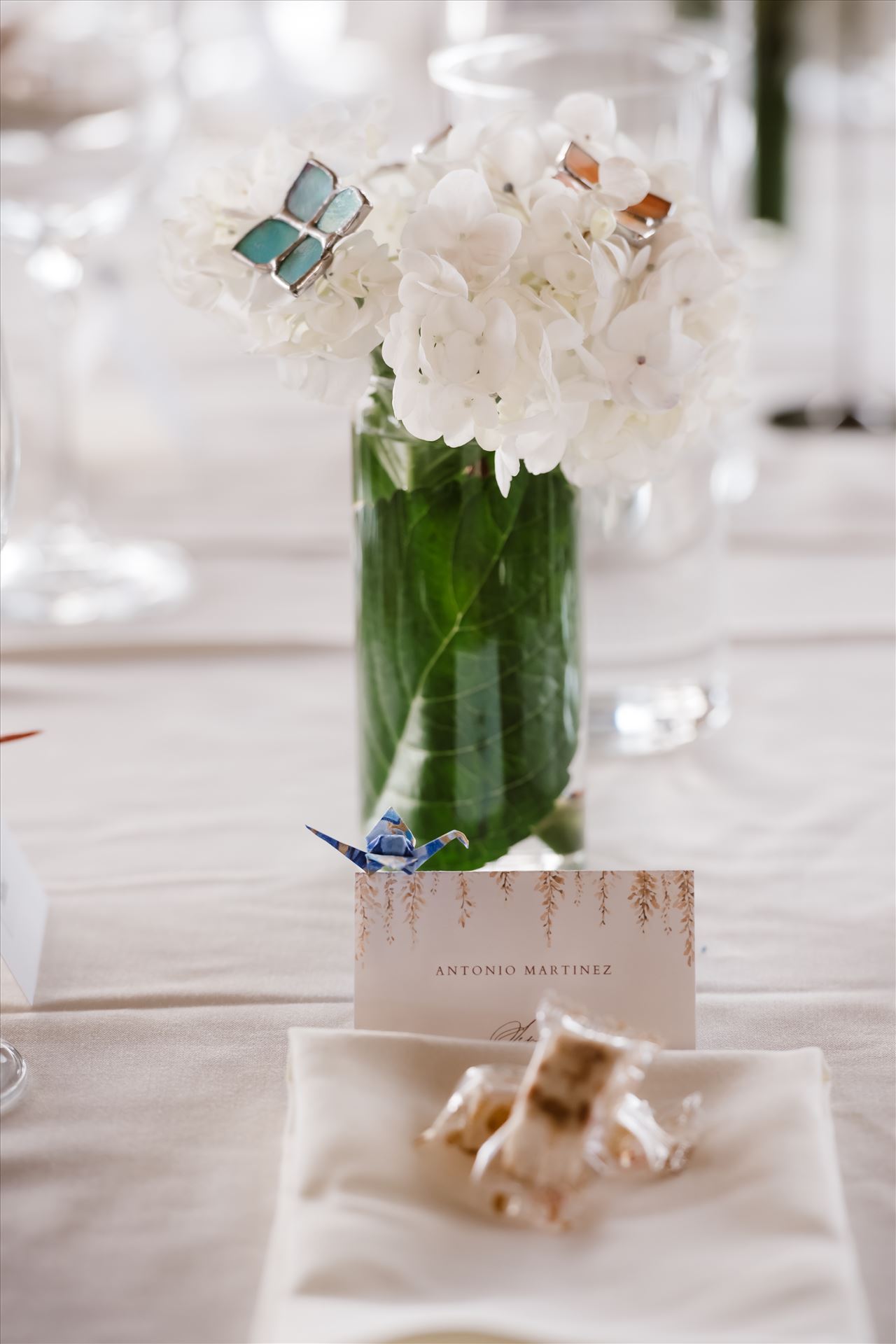 Final-9287.jpg  by Sarah Williams