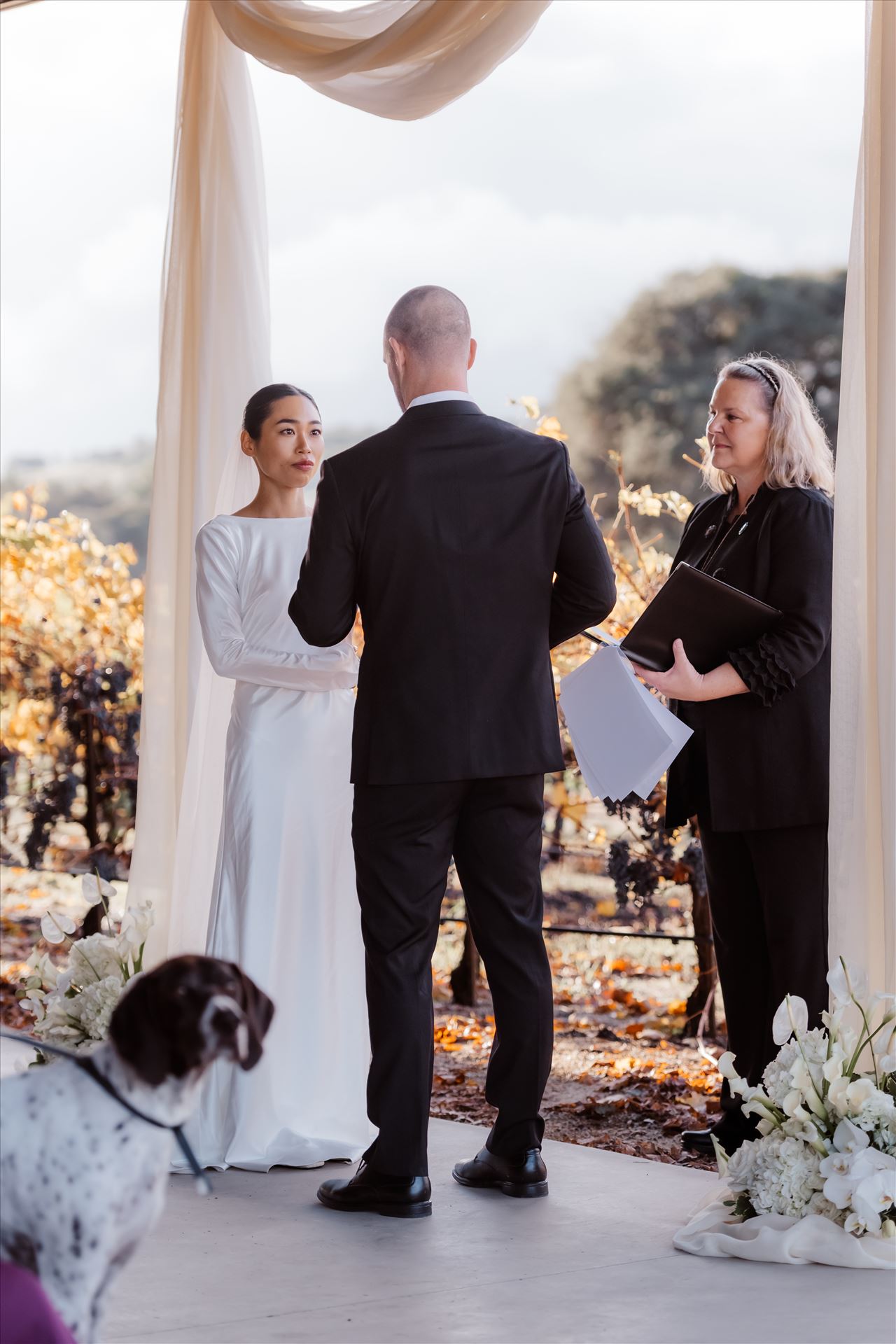 Final-2494.jpg  by Sarah Williams