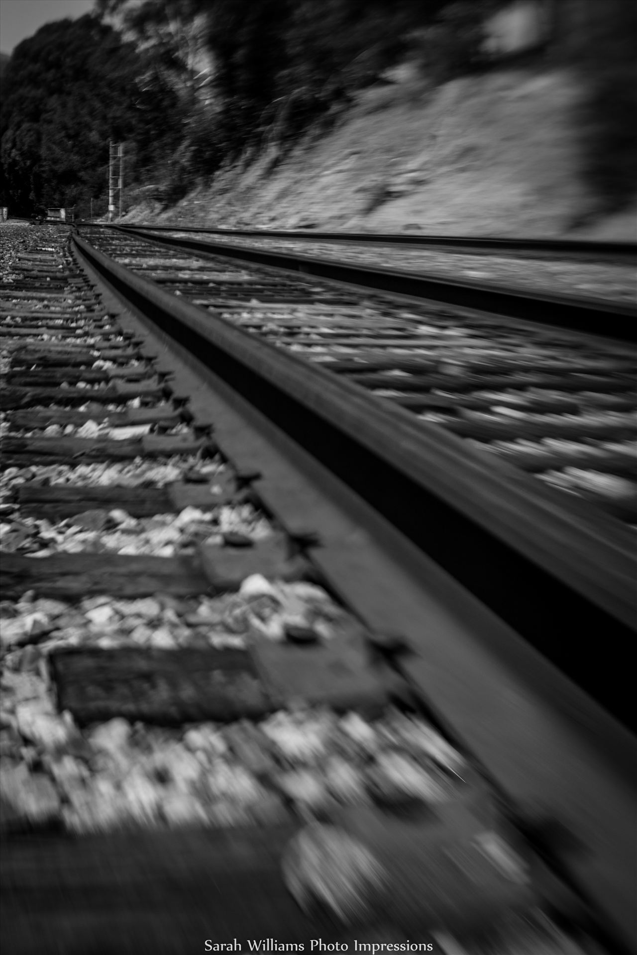On the Tracks.jpg  by Sarah Williams