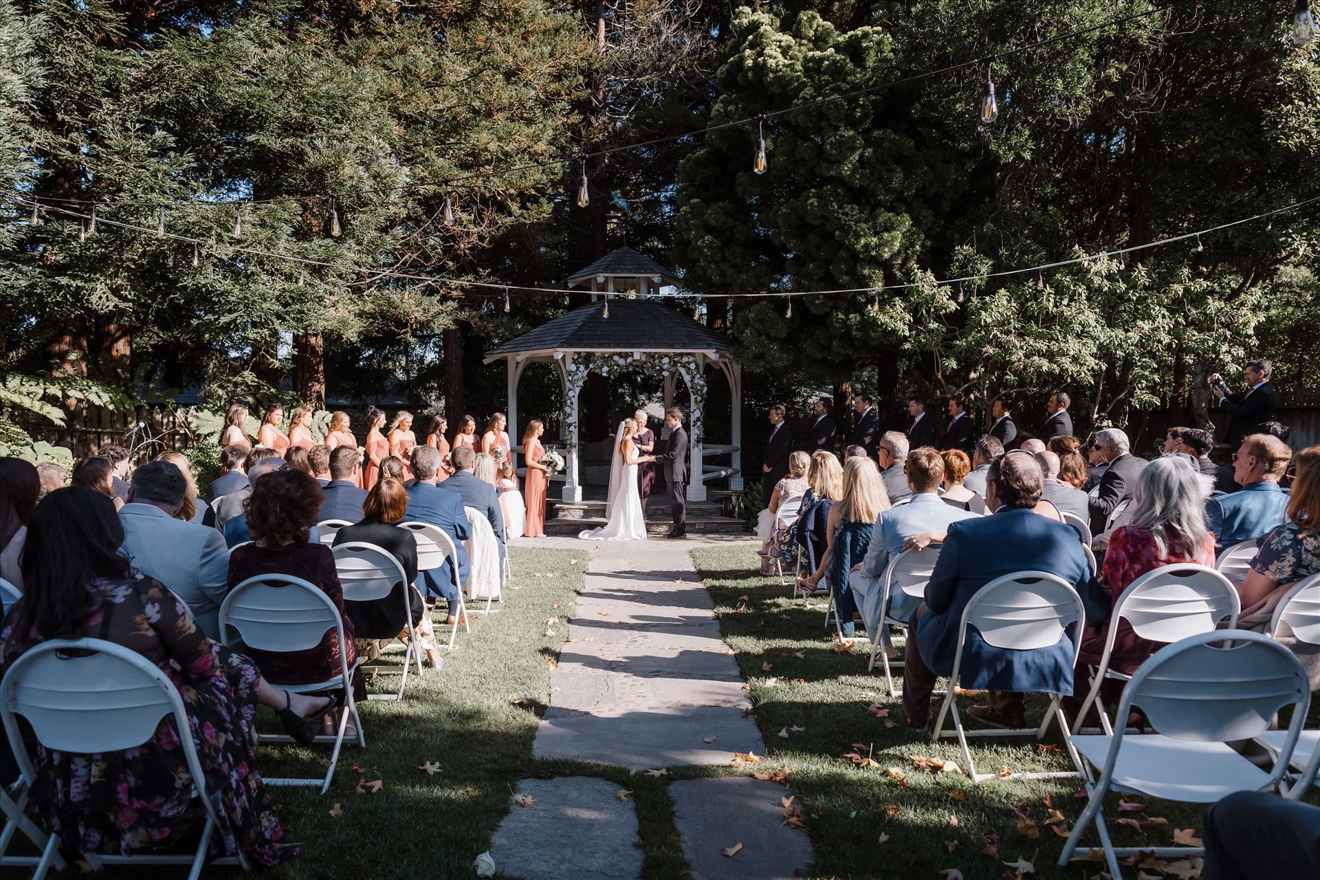 Final-8199.jpg  by Sarah Williams