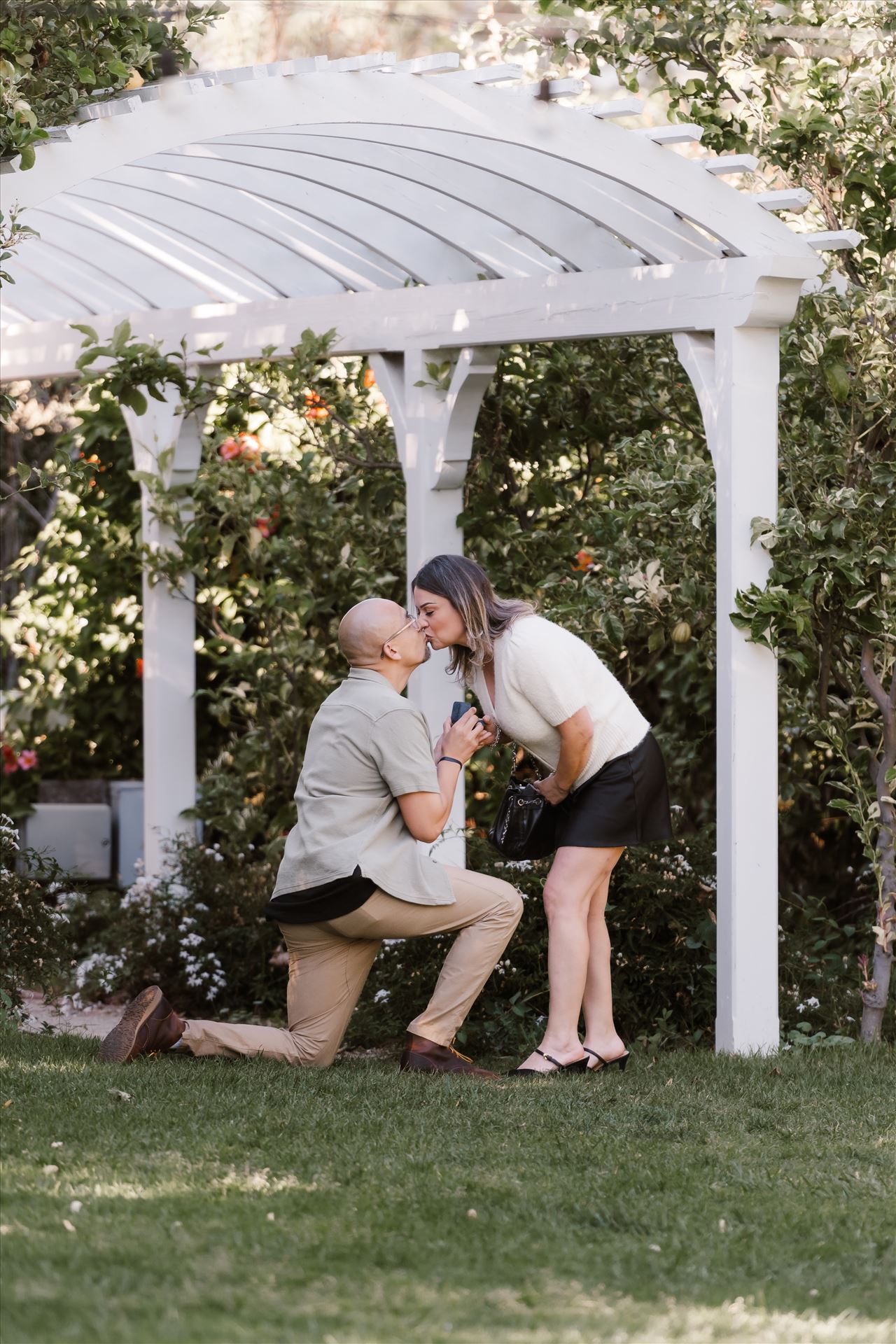 Final-5172.jpg  by Sarah Williams