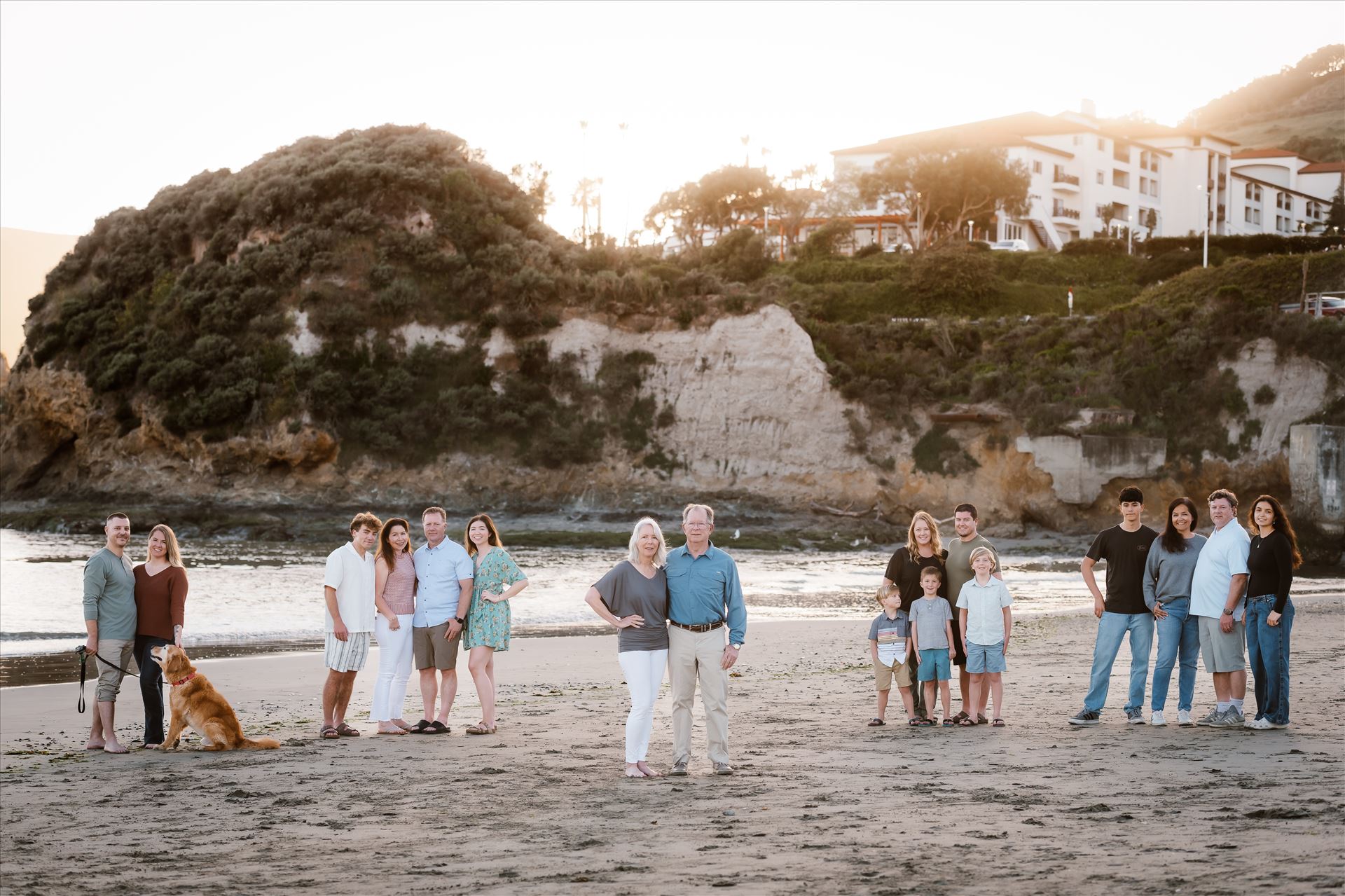 Final--5.jpg  by Sarah Williams