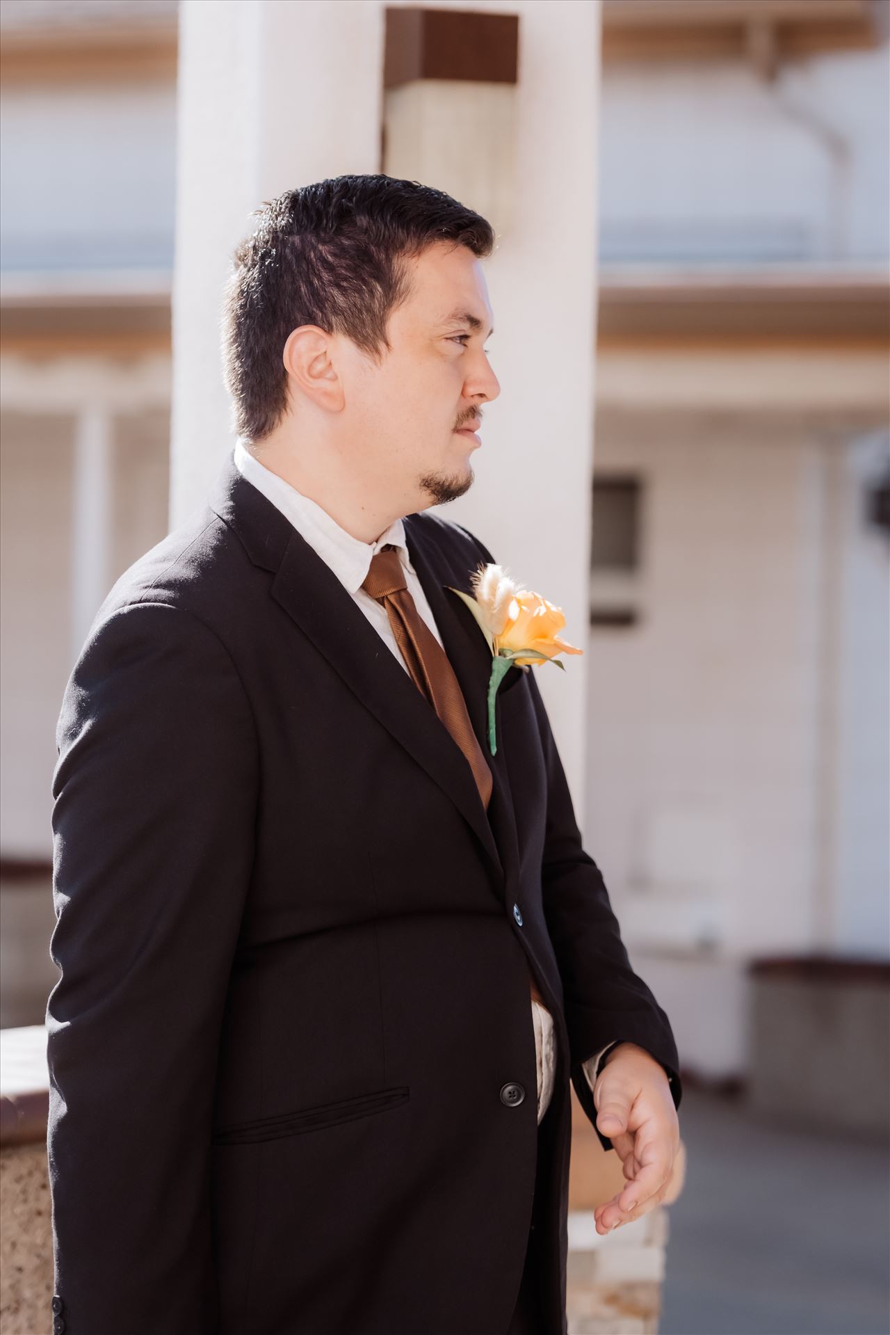 Final-1612.jpg  by Sarah Williams