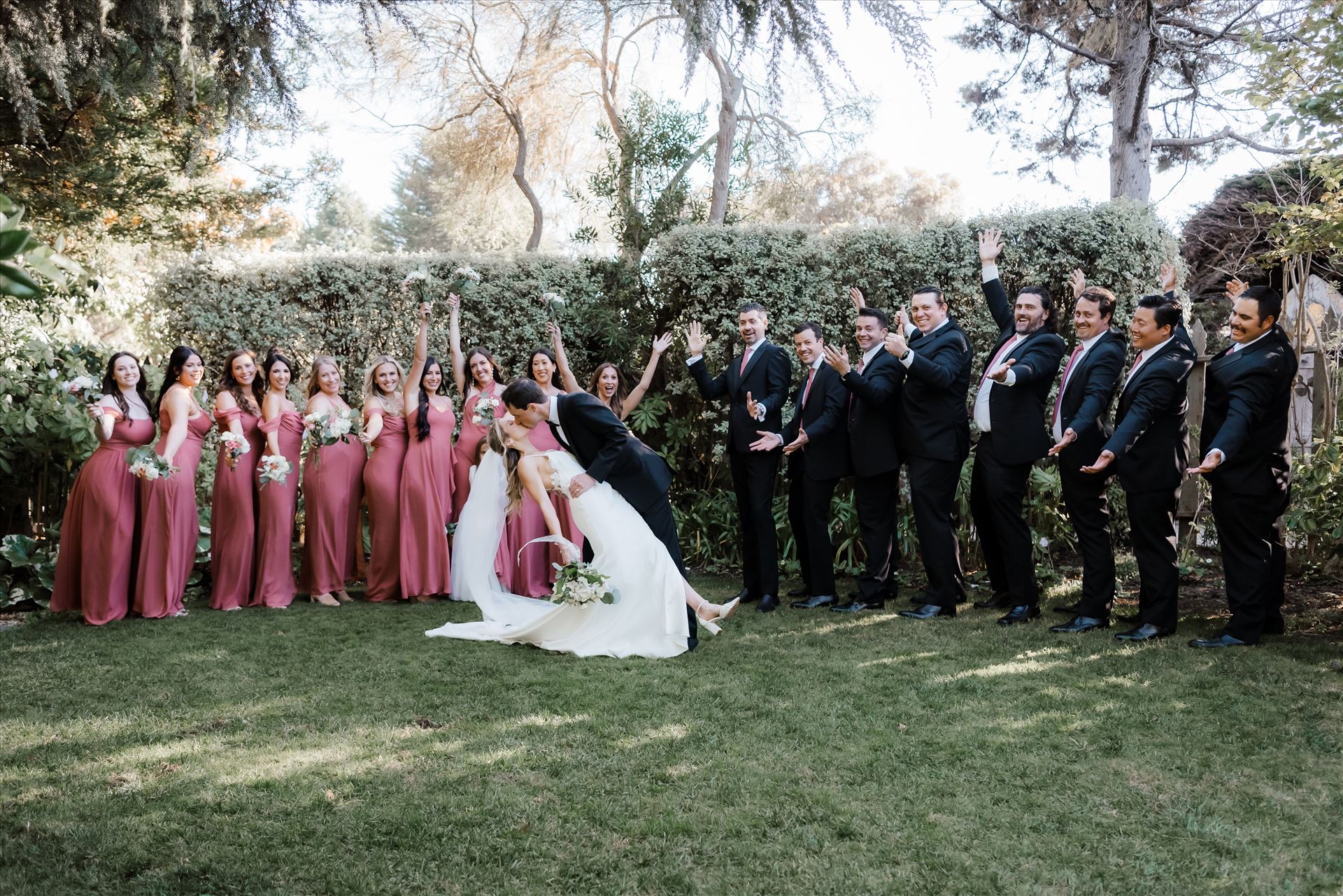 Final-8297.jpg  by Sarah Williams