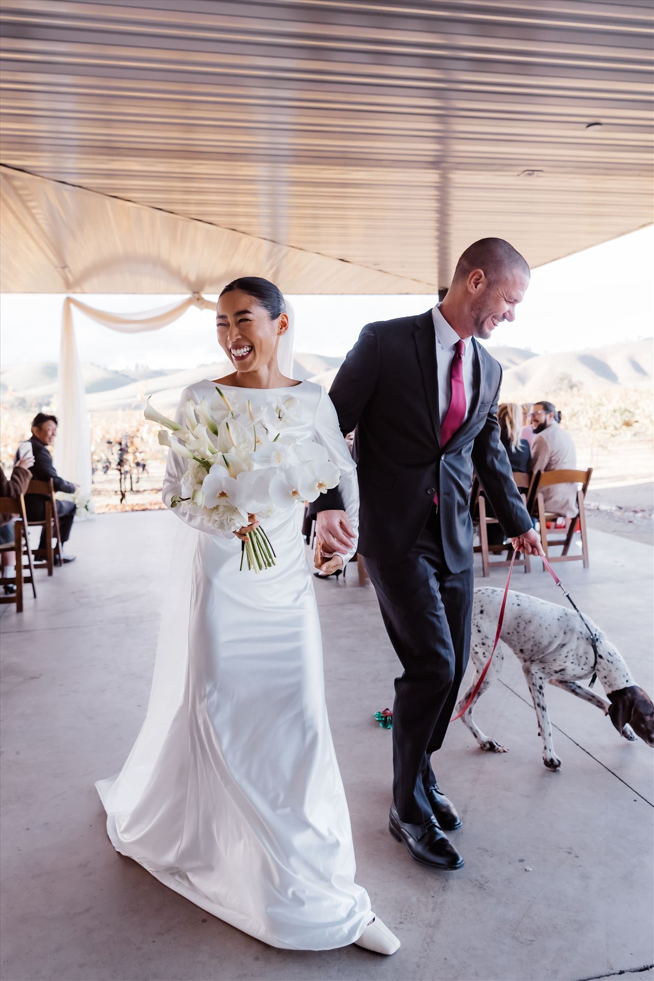 Final-9175.jpg  by Sarah Williams