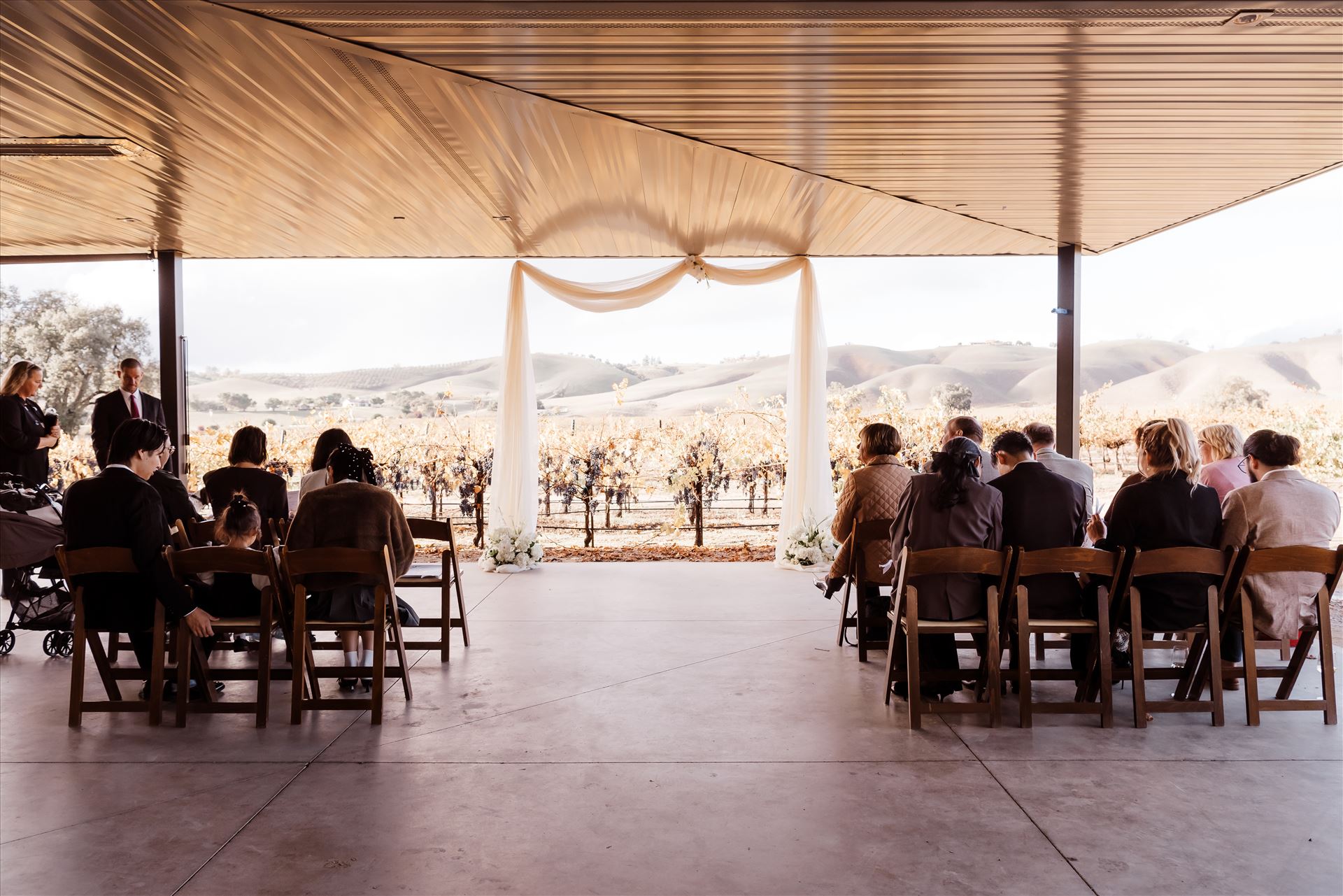 Final-9087.jpg  by Sarah Williams