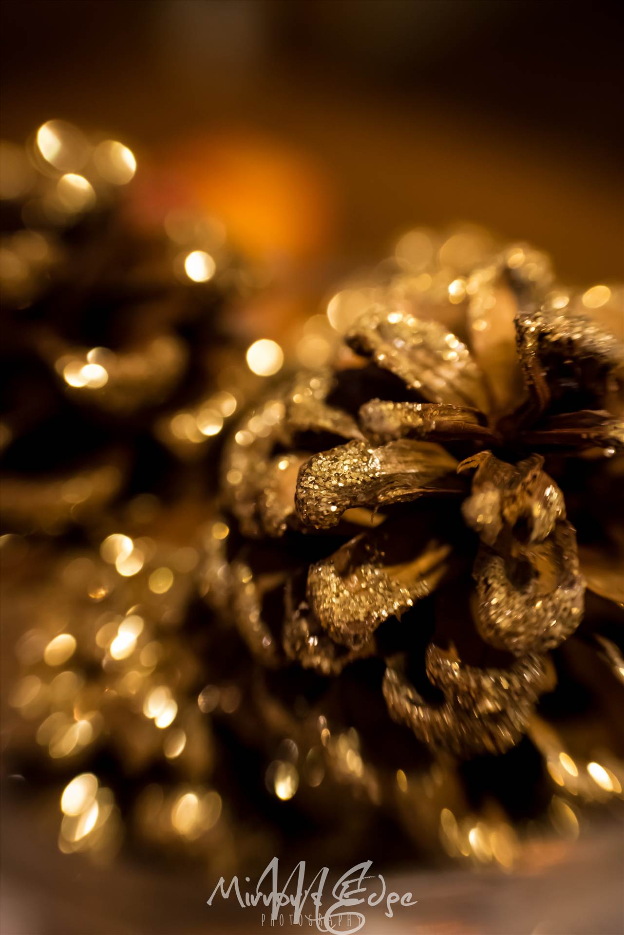 Holiday Glittered Pincone.jpg undefined by Sarah Williams