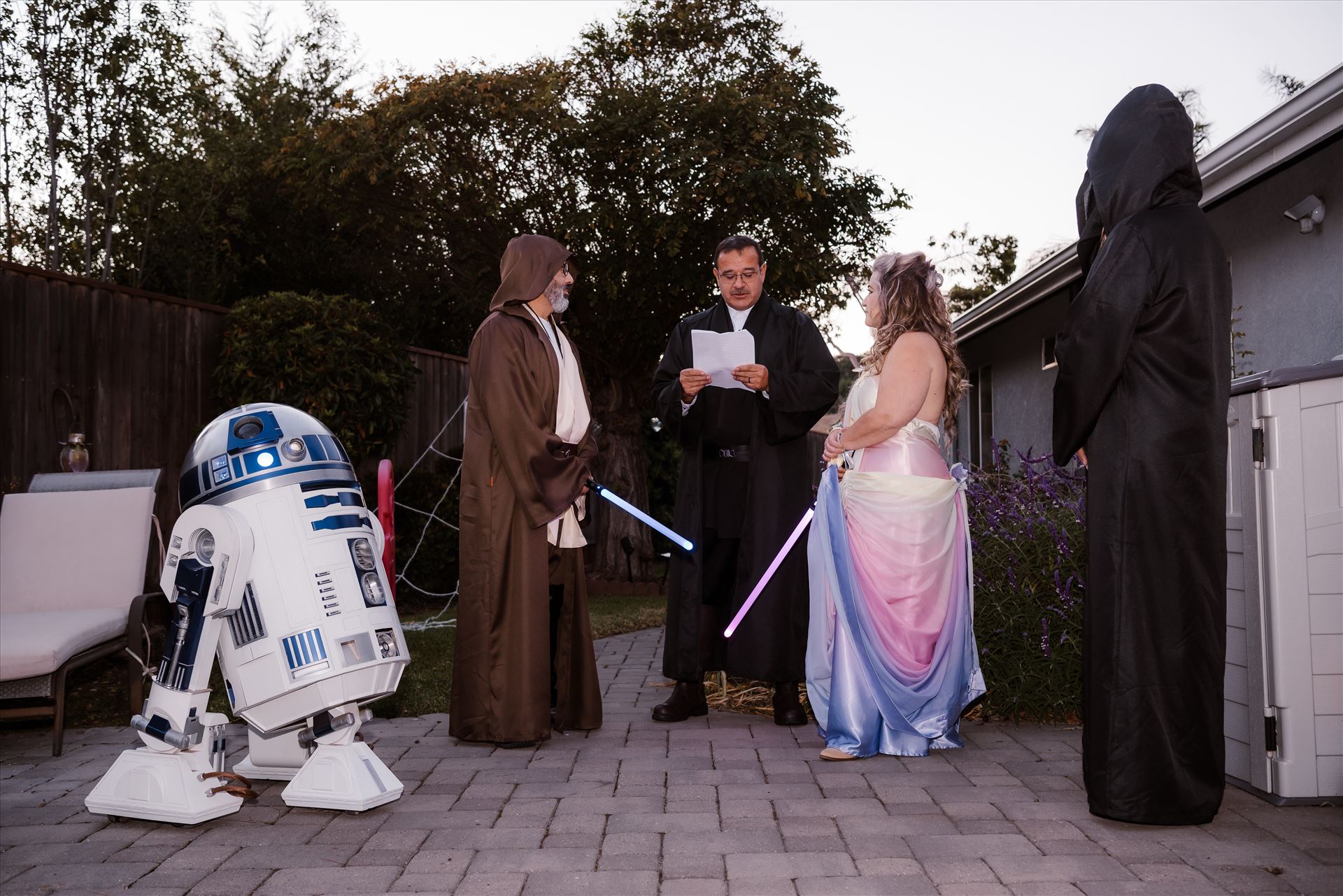 Final-7330.jpg  by Sarah Williams