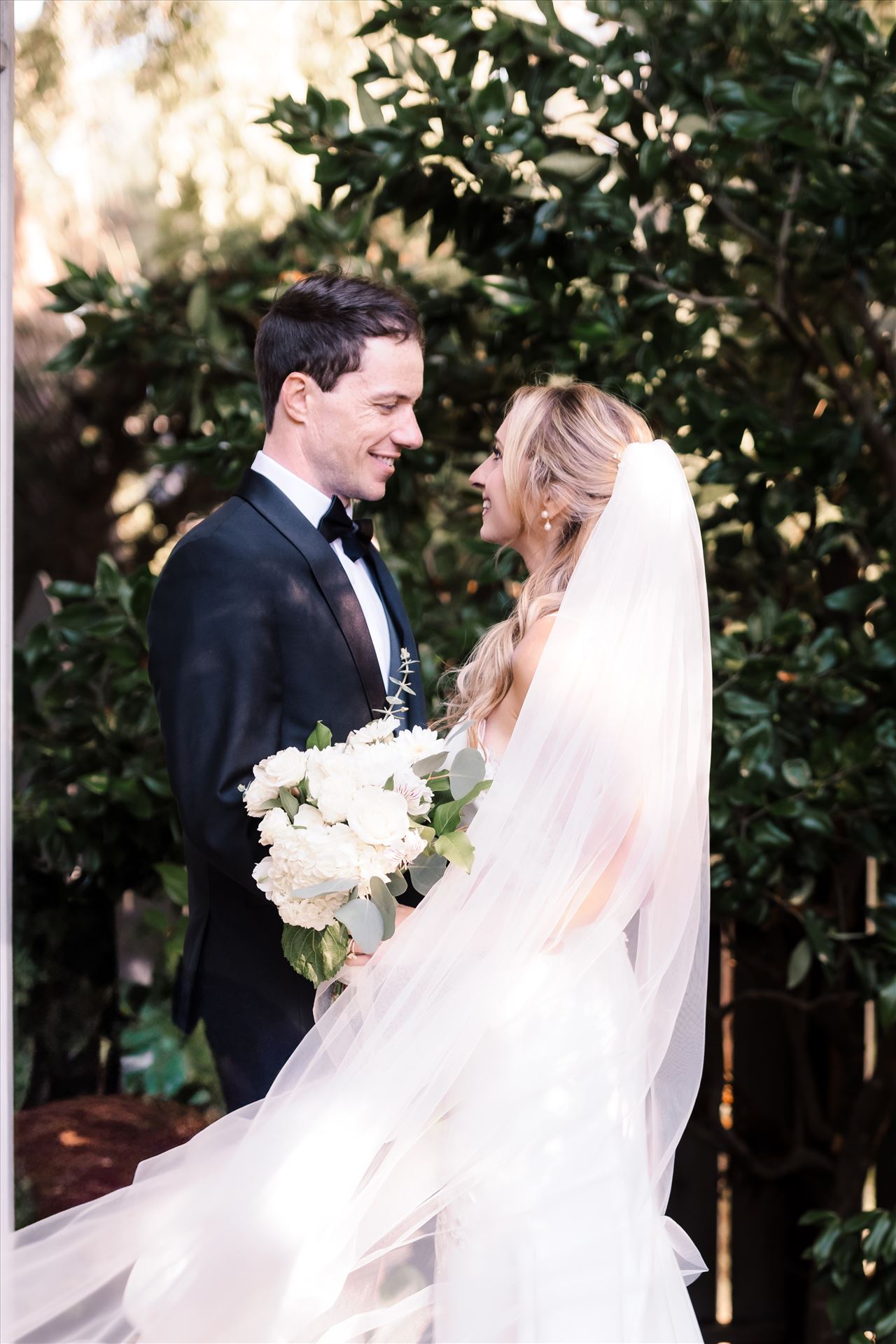 Final BG--28.jpg  by Sarah Williams