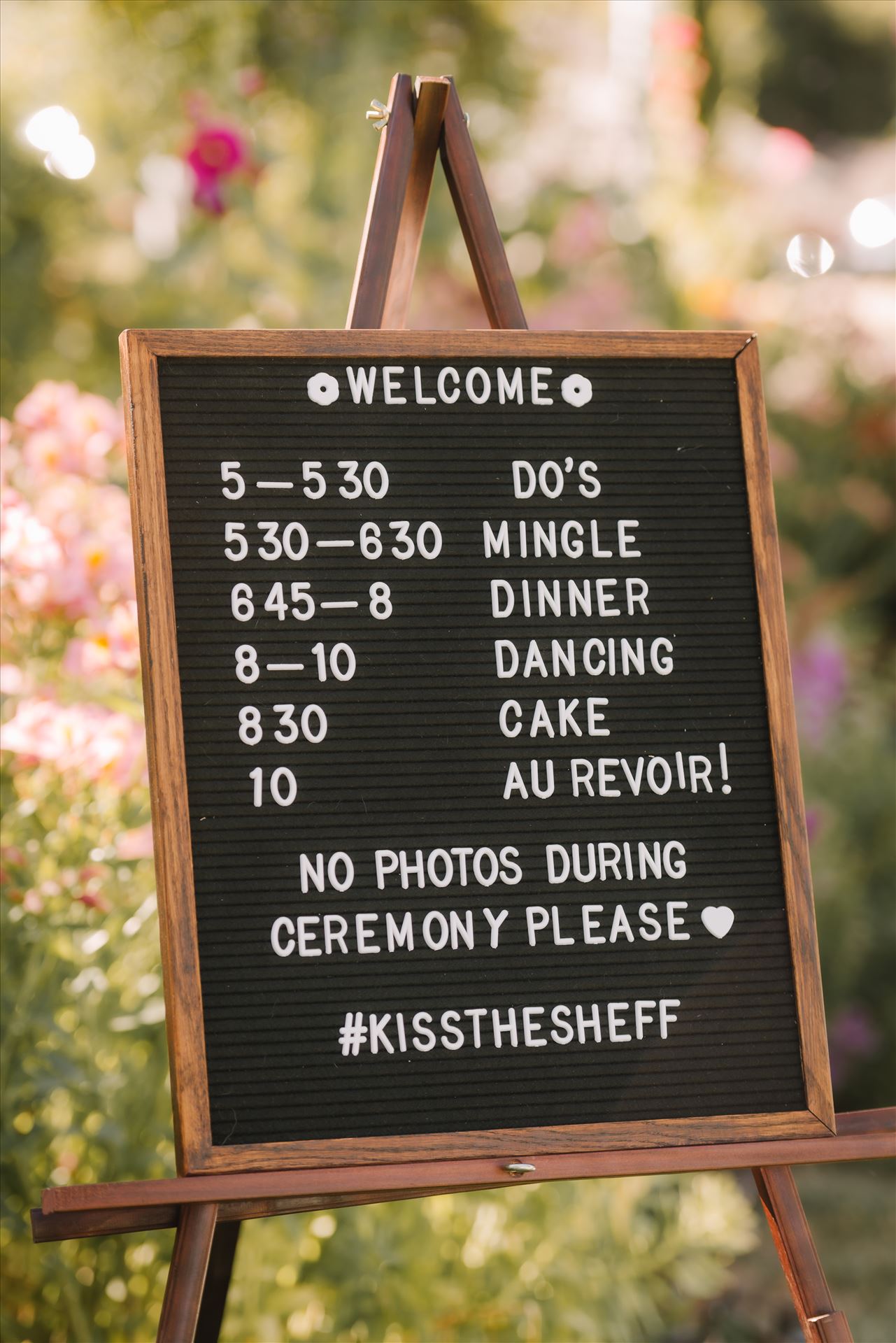 DSC_3629.JPG  by Sarah Williams